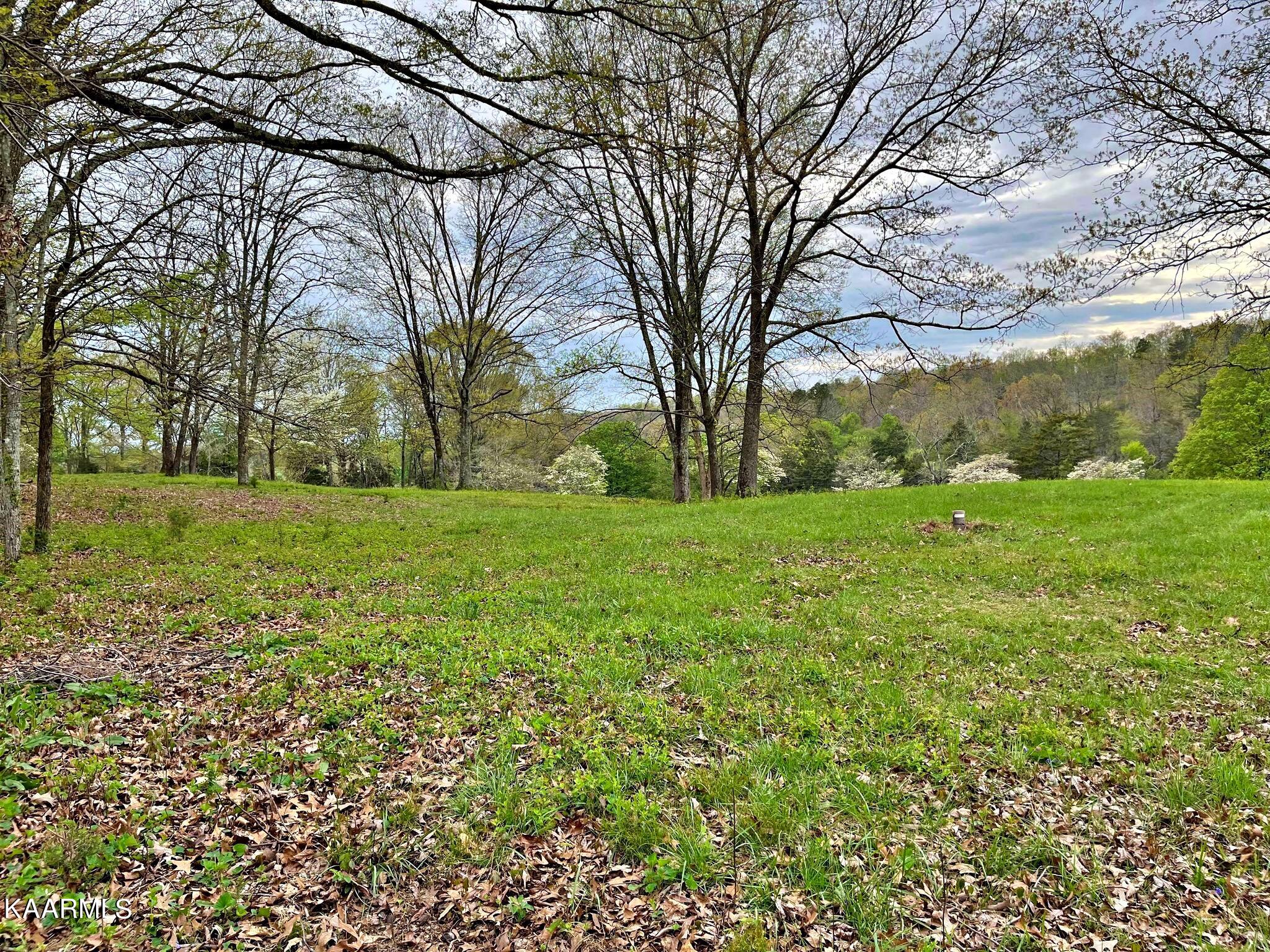 180 Shoemaker Lane Decatur, TN 37322 - Photo 25 of 60 340927559_758298852464806_88431041034259