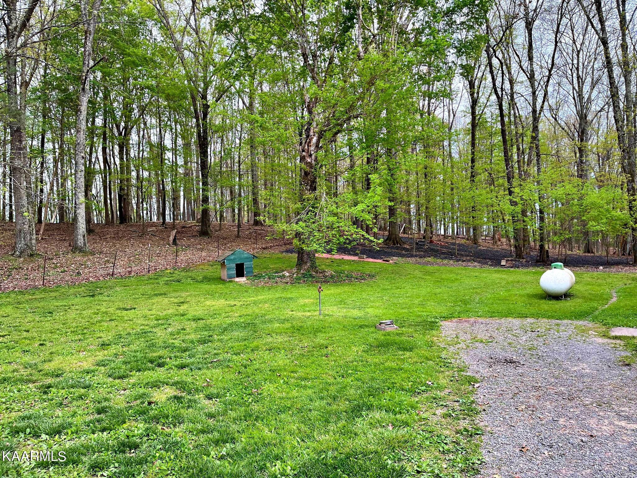 180 Shoemaker Lane Decatur, TN 37322 - Photo 31 of 60 340586852_1375434329910534_3210275332821