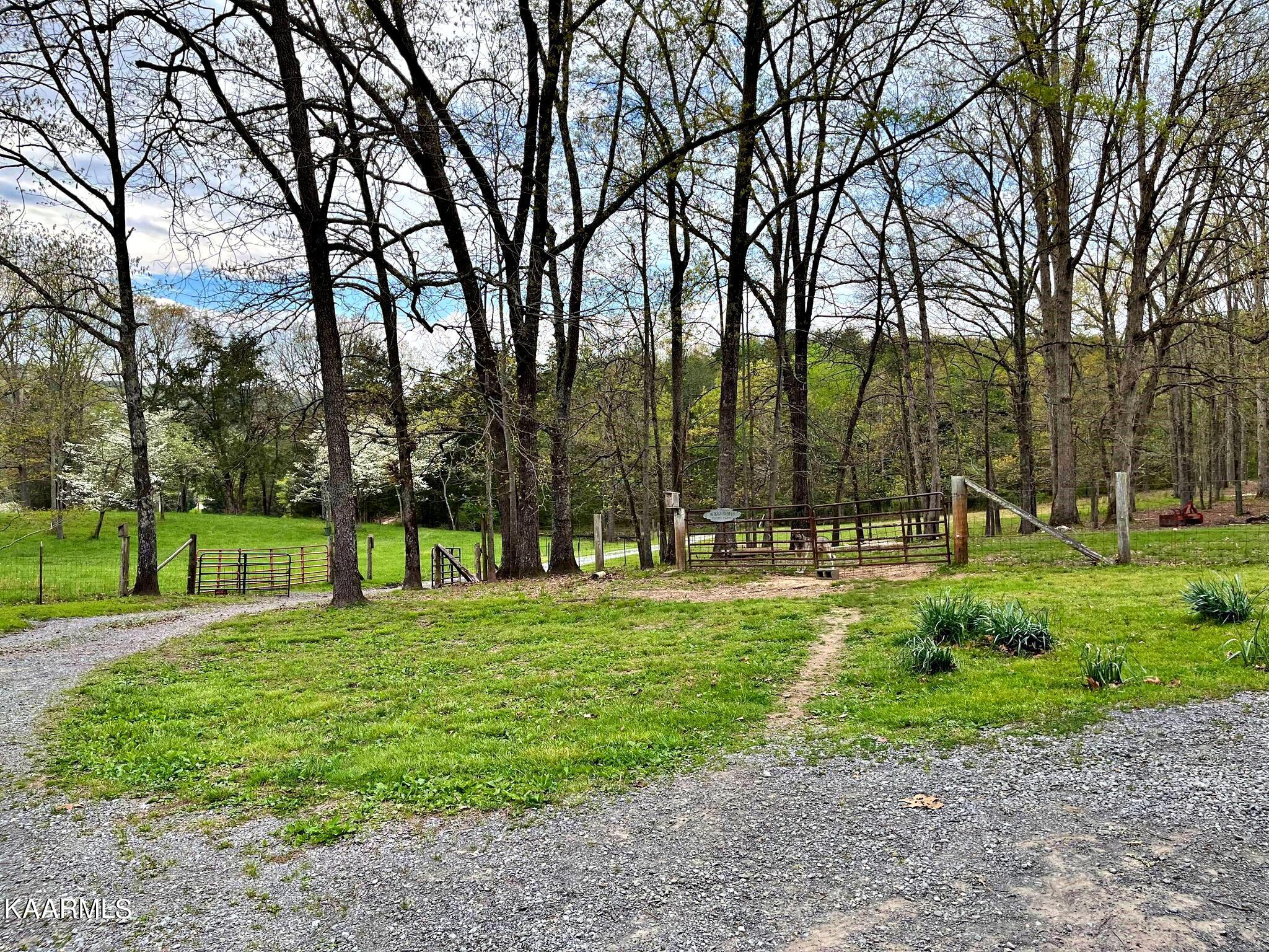 180 Shoemaker Lane Decatur, TN 37322 - Photo 6 of 60 340800271_660118775876188_14684868935949