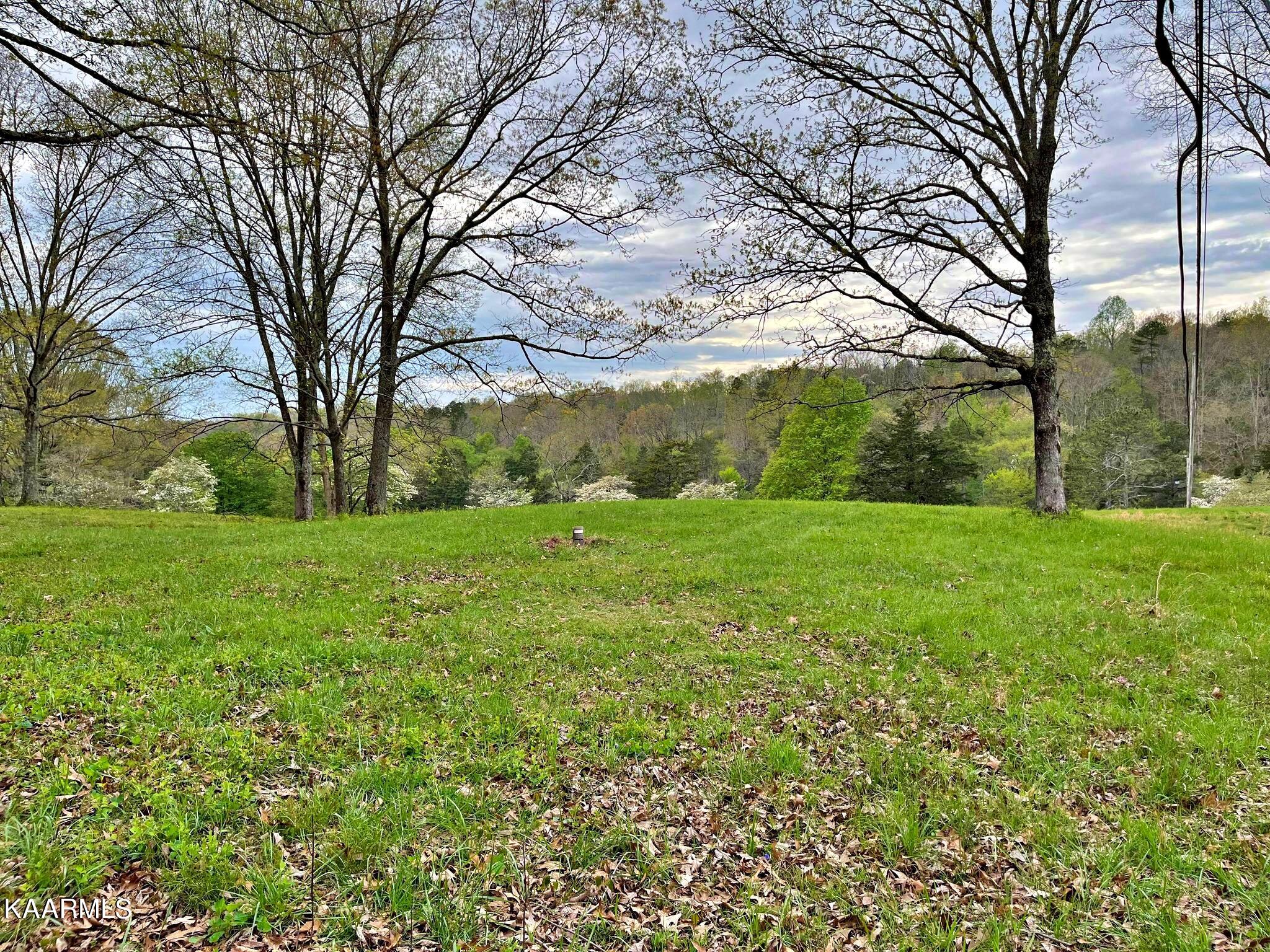 180 Shoemaker Lane Decatur, TN 37322 - Photo 8 of 60 340571160_166761099644362_62934637830545