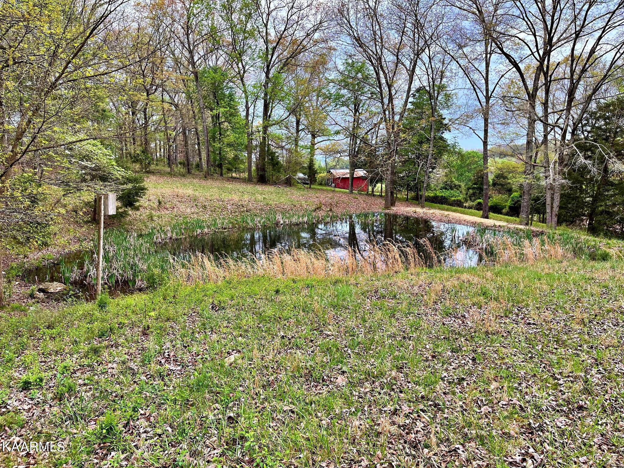 180 Shoemaker Lane Decatur, TN 37322 - Photo 9 of 60 330131267_544148837802045_65448985412702