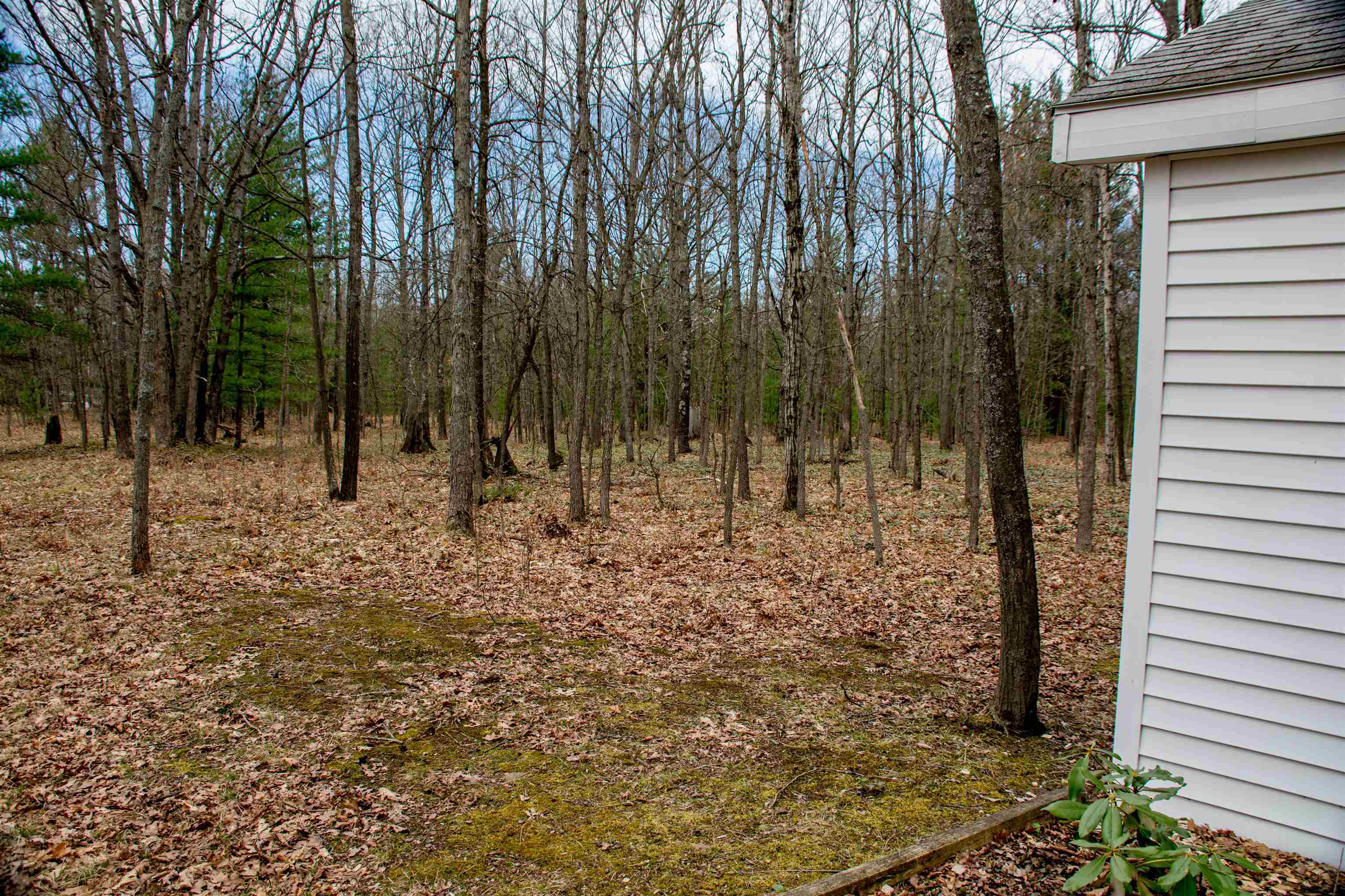8418 Albrecht Road Interlochen, MI 49643 - Photo 8 of 42 1910224-7.JPG