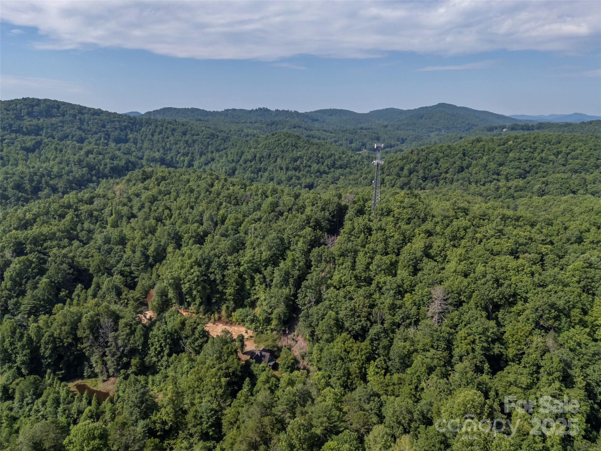 1084 Old Howard Gap Road Saluda, NC 28773 - Photo 13 of 48