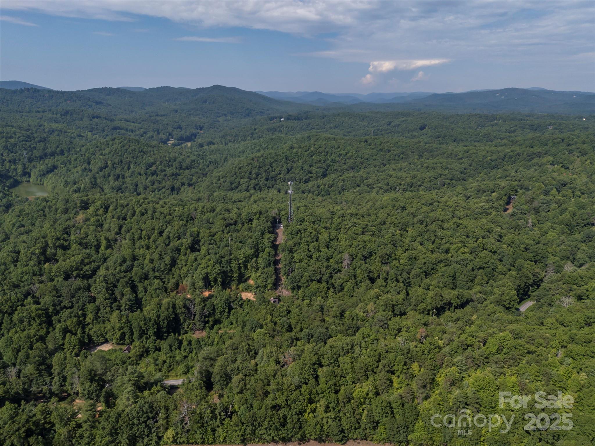 1084 Old Howard Gap Road Saluda, NC 28773 - Photo 14 of 48