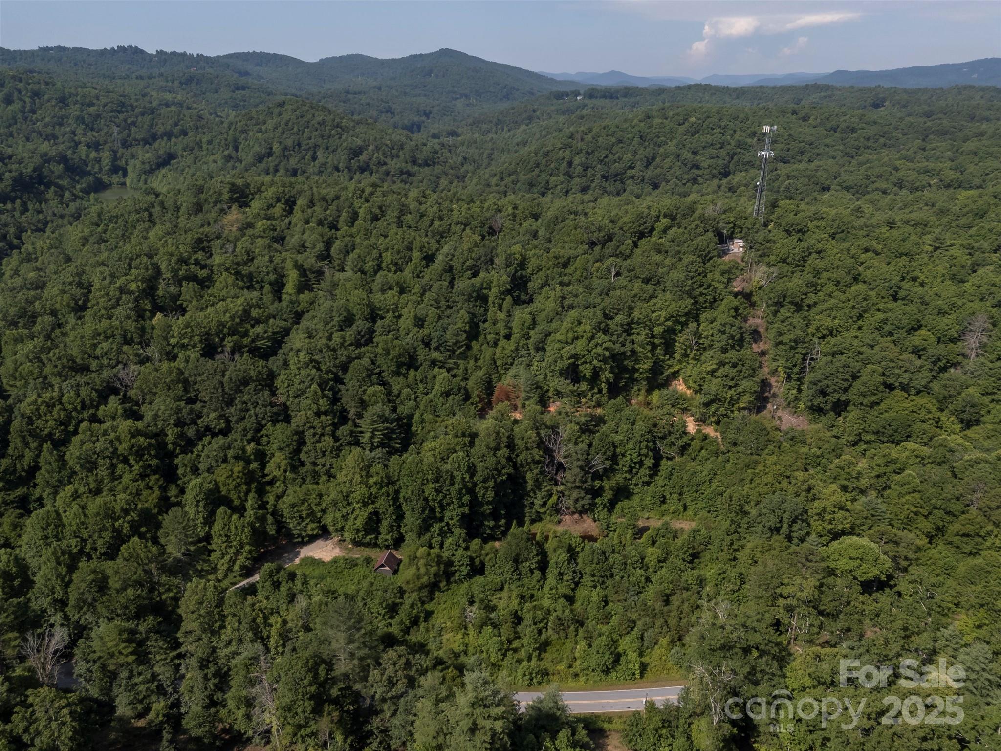 1084 Old Howard Gap Road Saluda, NC 28773 - Photo 15 of 48