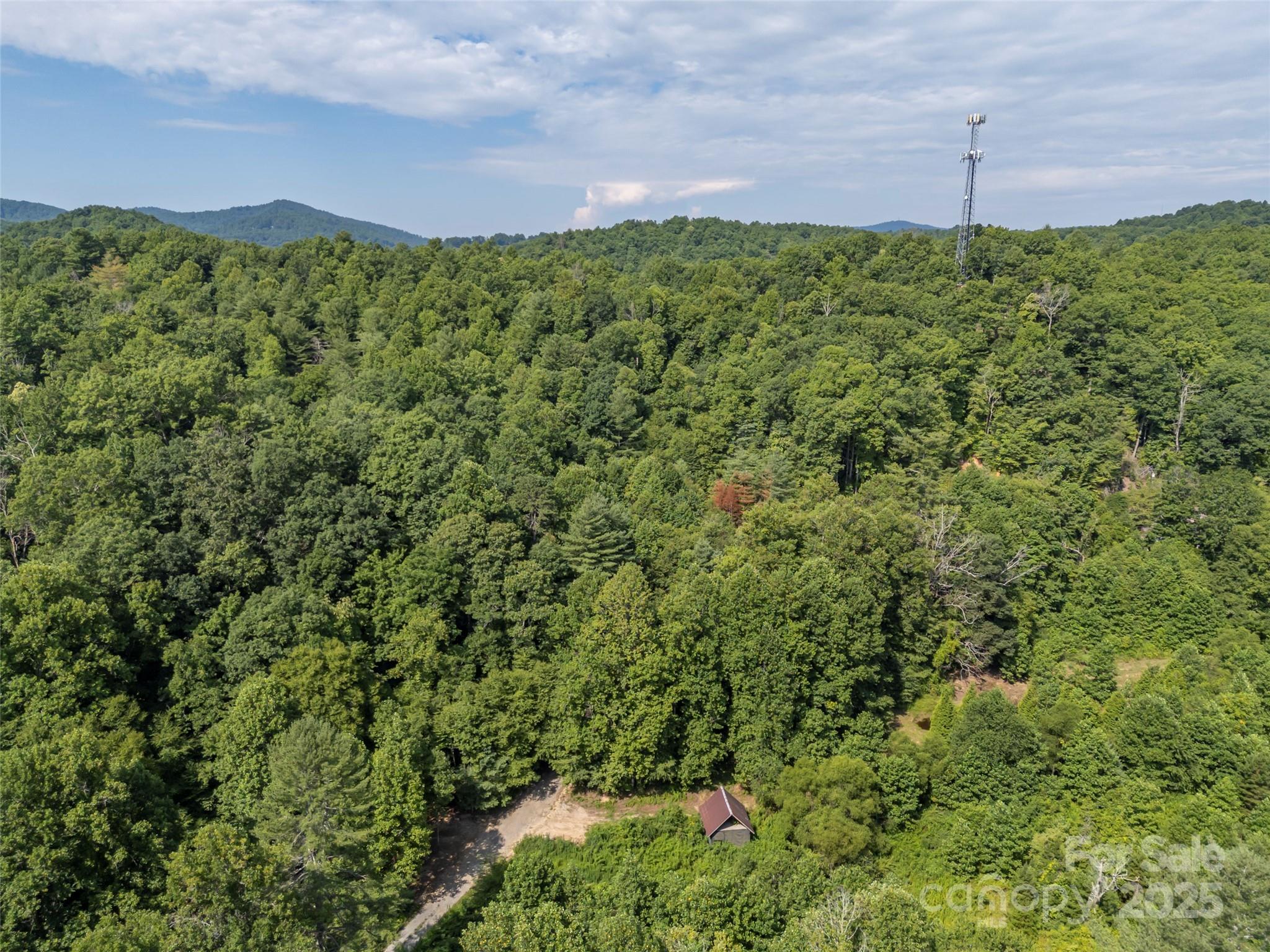 1084 Old Howard Gap Road Saluda, NC 28773 - Photo 17 of 48