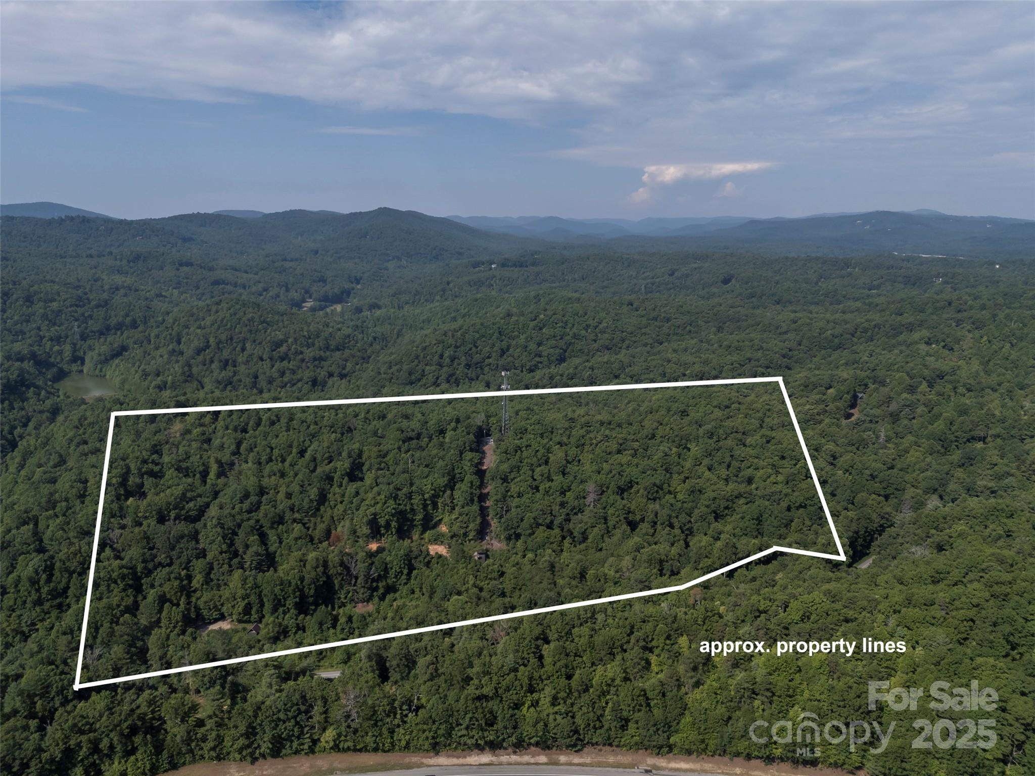 1084 Old Howard Gap Road Saluda, NC 28773 - Photo 2 of 48