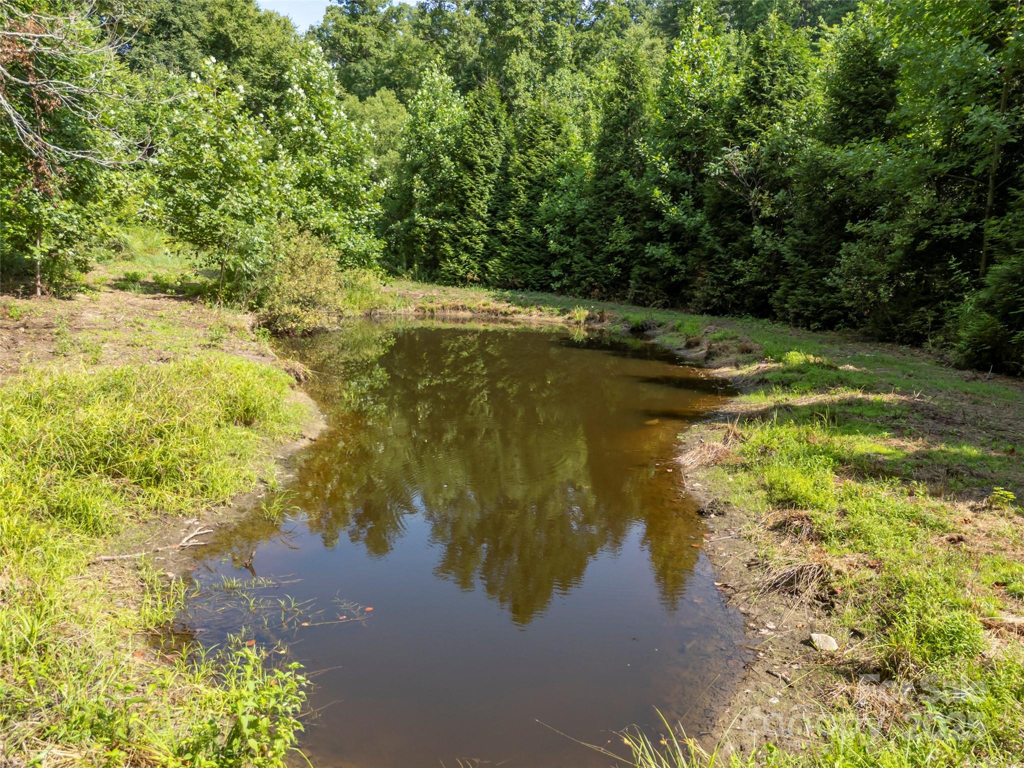 1084 Old Howard Gap Road Saluda, NC 28773 - Photo 22 of 48