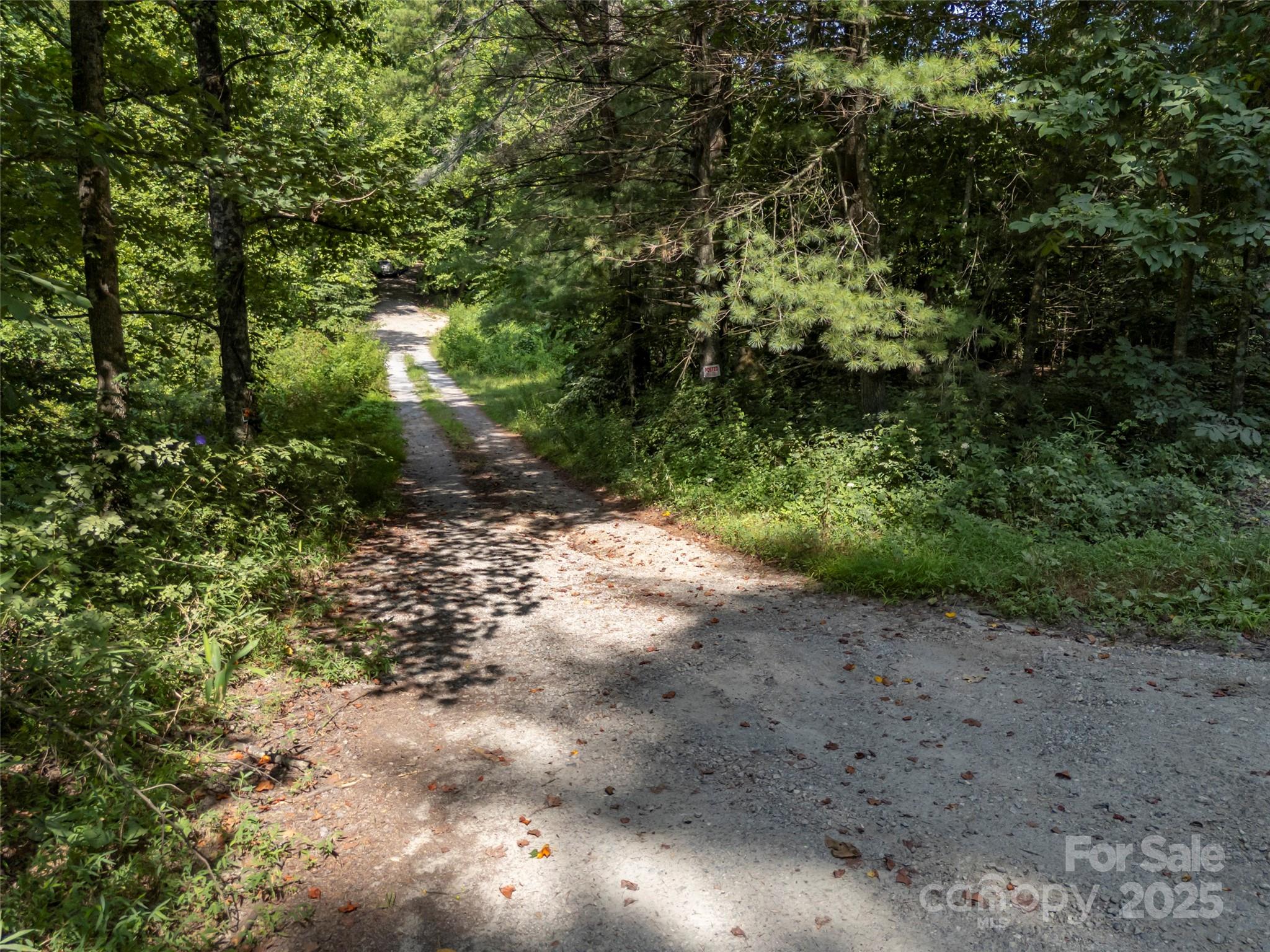 1084 Old Howard Gap Road Saluda, NC 28773 - Photo 25 of 48