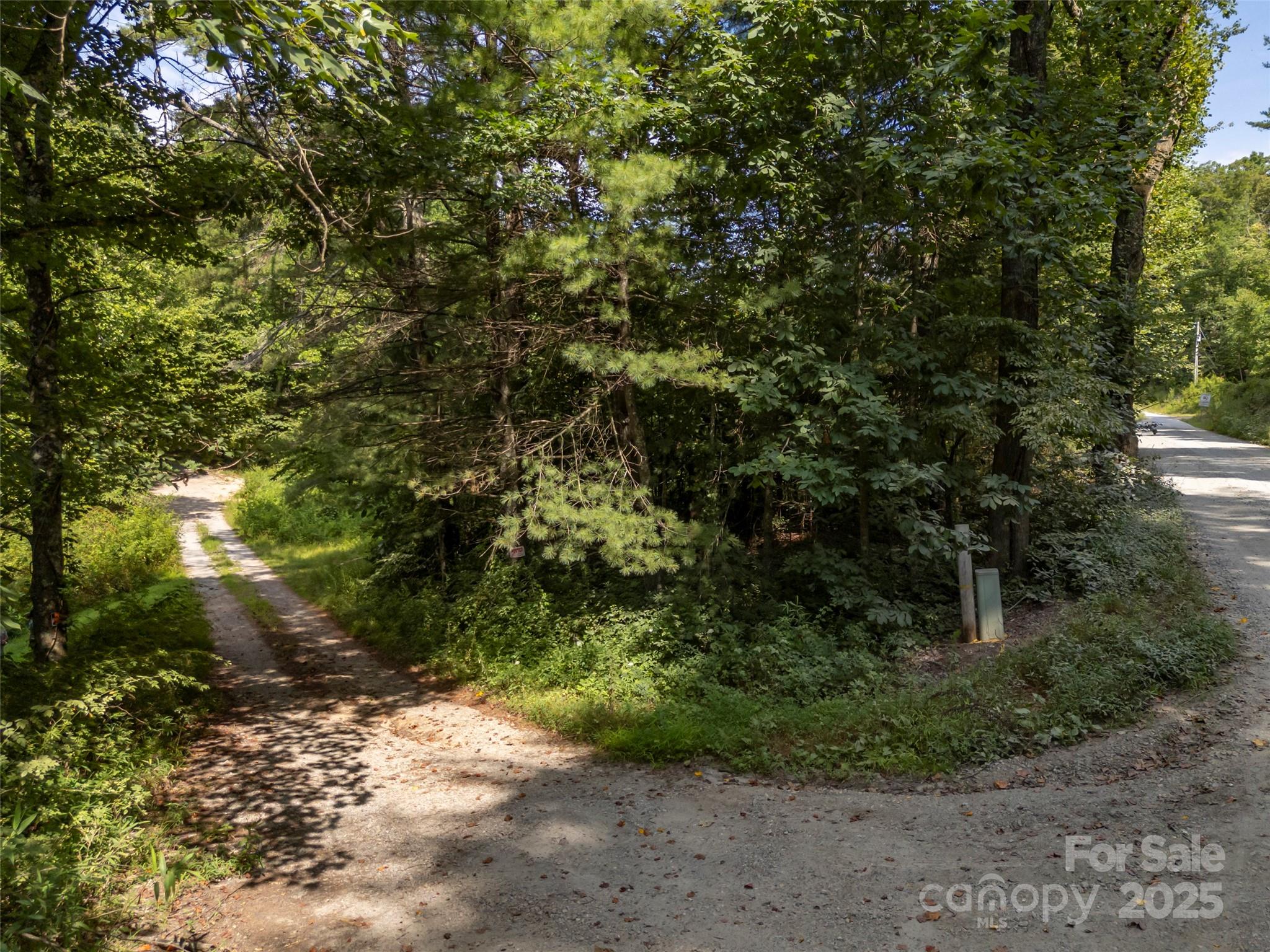 1084 Old Howard Gap Road Saluda, NC 28773 - Photo 26 of 48