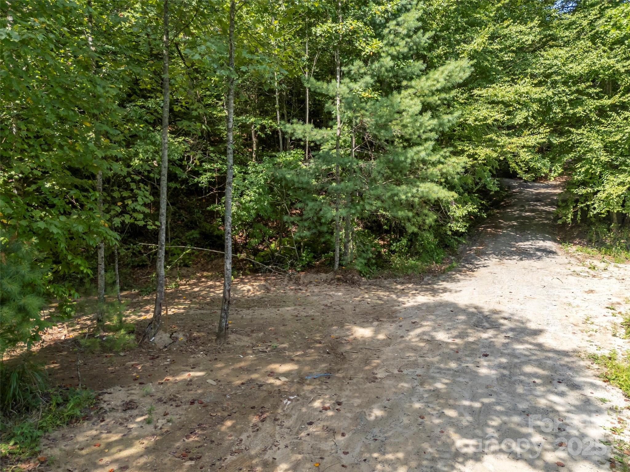 1084 Old Howard Gap Road Saluda, NC 28773 - Photo 27 of 48