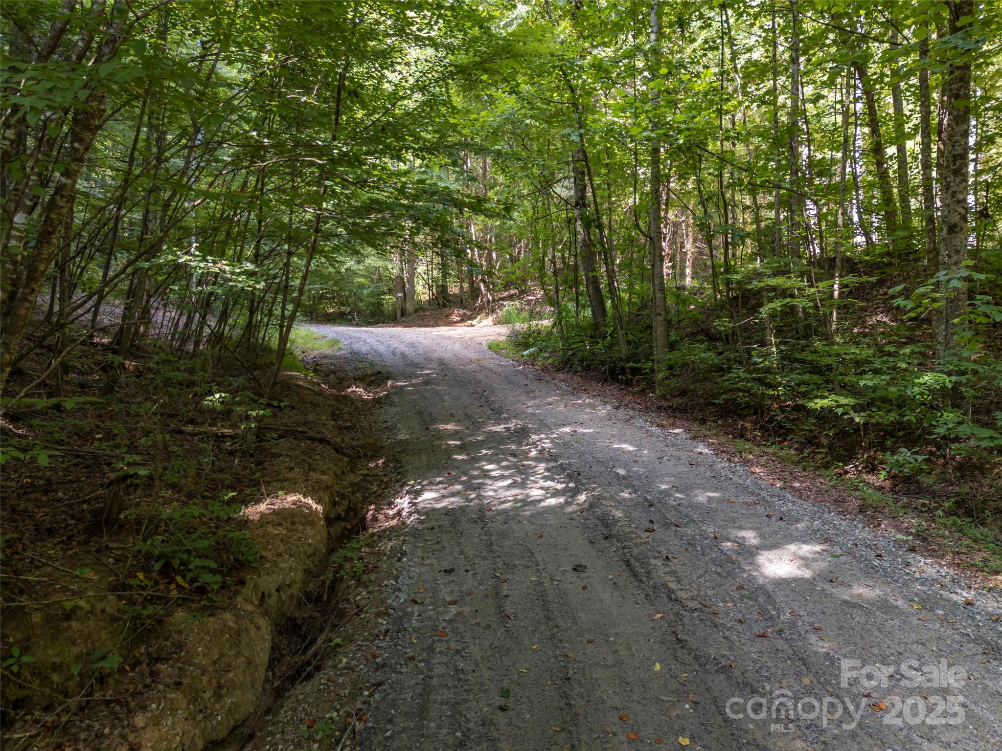 1084 Old Howard Gap Road Saluda, NC 28773 - Photo 29 of 48