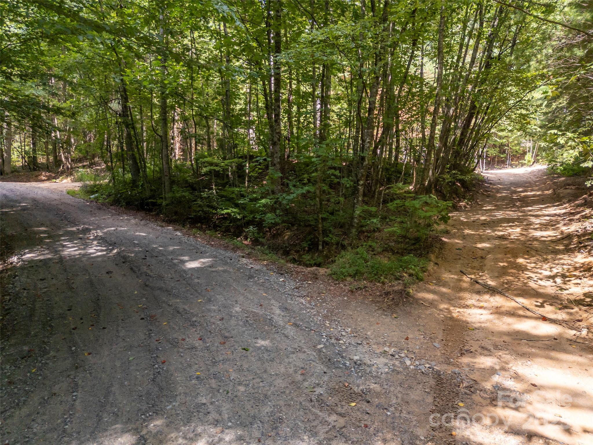 1084 Old Howard Gap Road Saluda, NC 28773 - Photo 30 of 48
