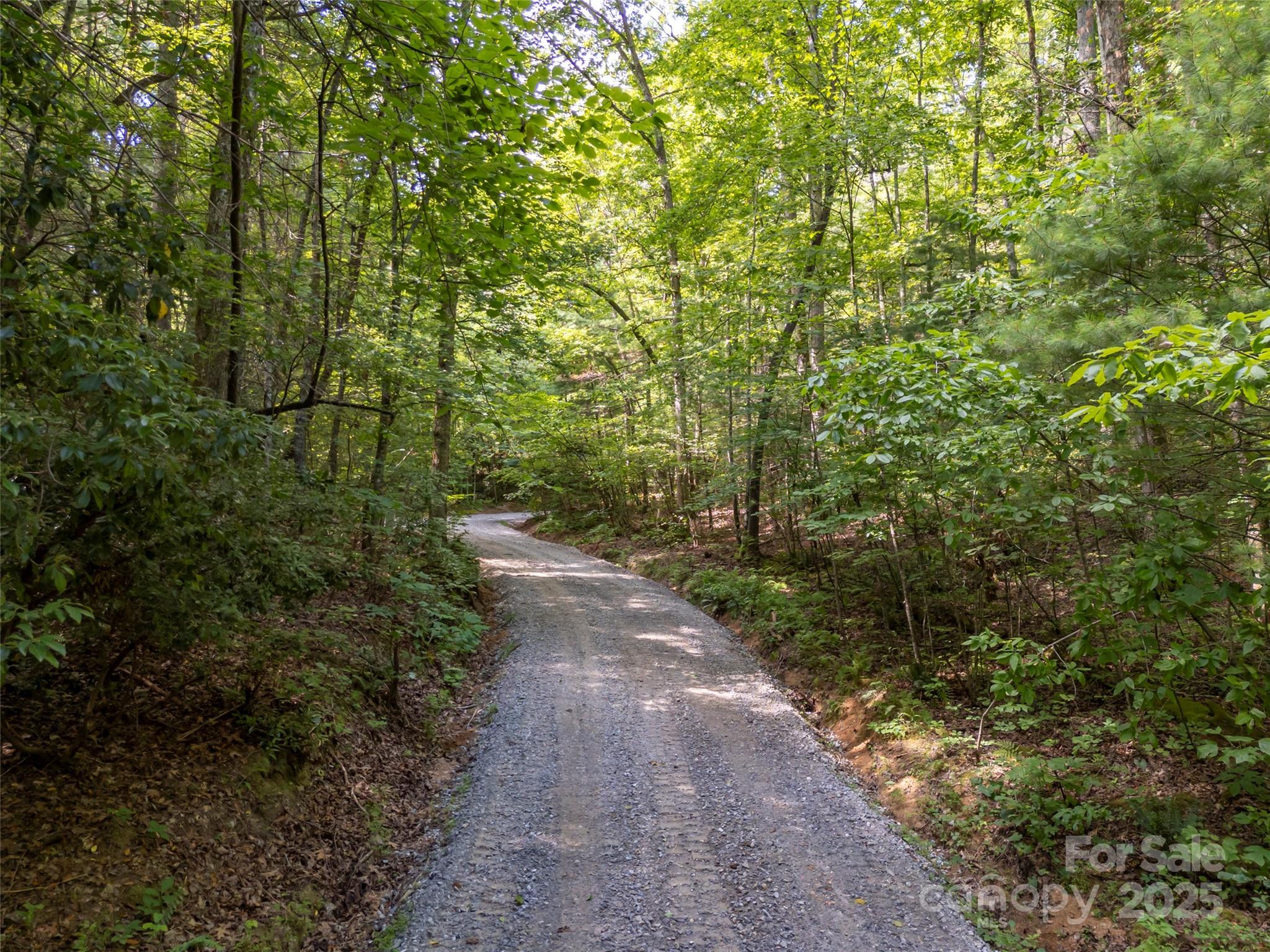 1084 Old Howard Gap Road Saluda, NC 28773 - Photo 34 of 48