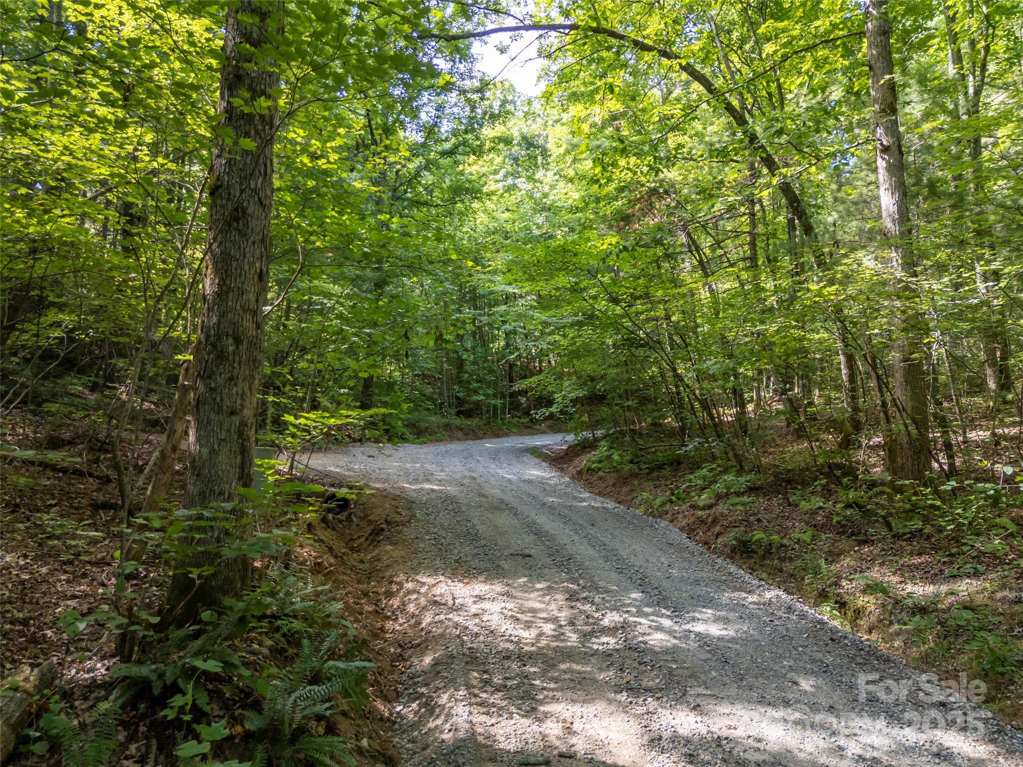 1084 Old Howard Gap Road Saluda, NC 28773 - Photo 35 of 48