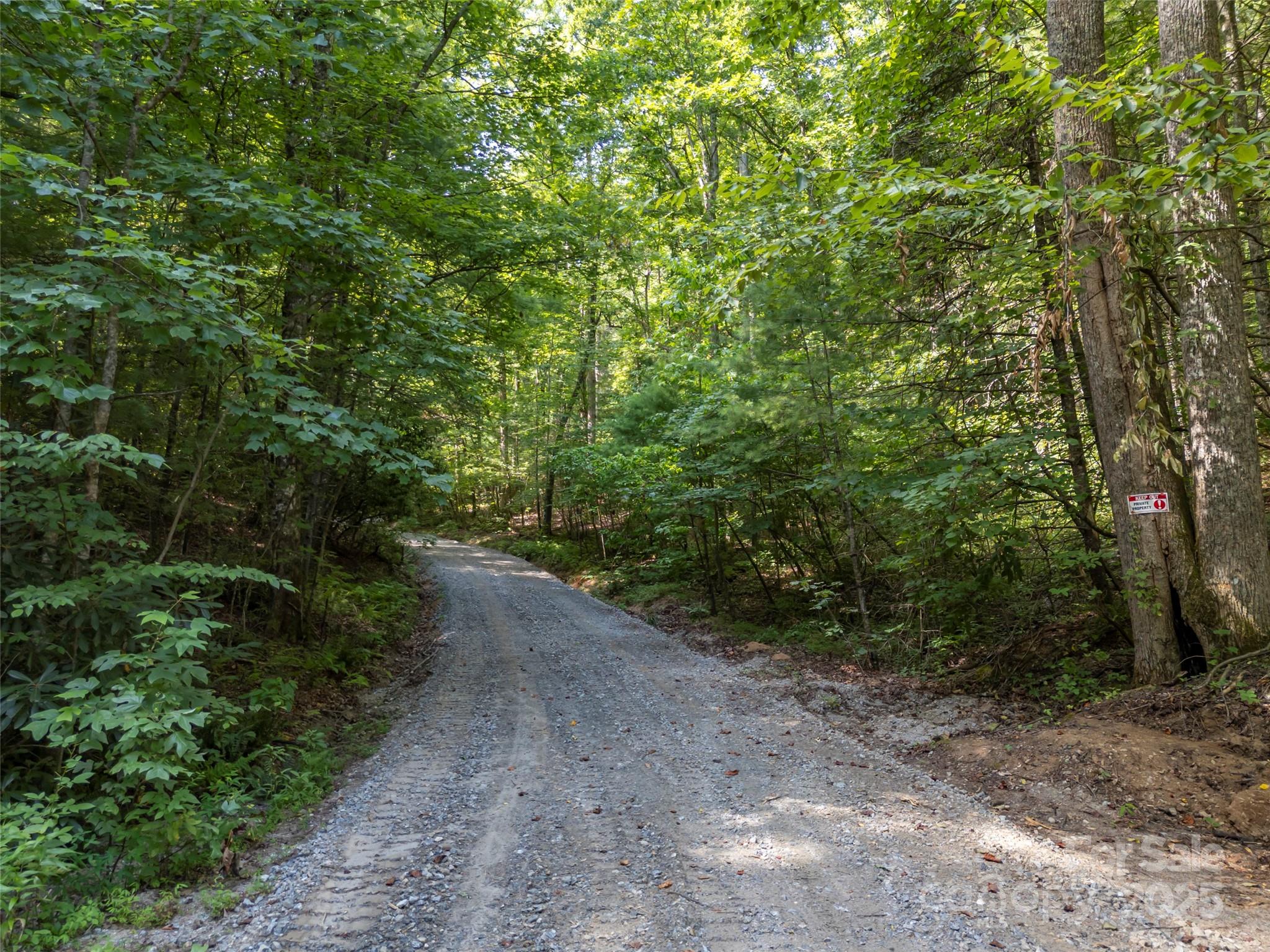 1084 Old Howard Gap Road Saluda, NC 28773 - Photo 37 of 48