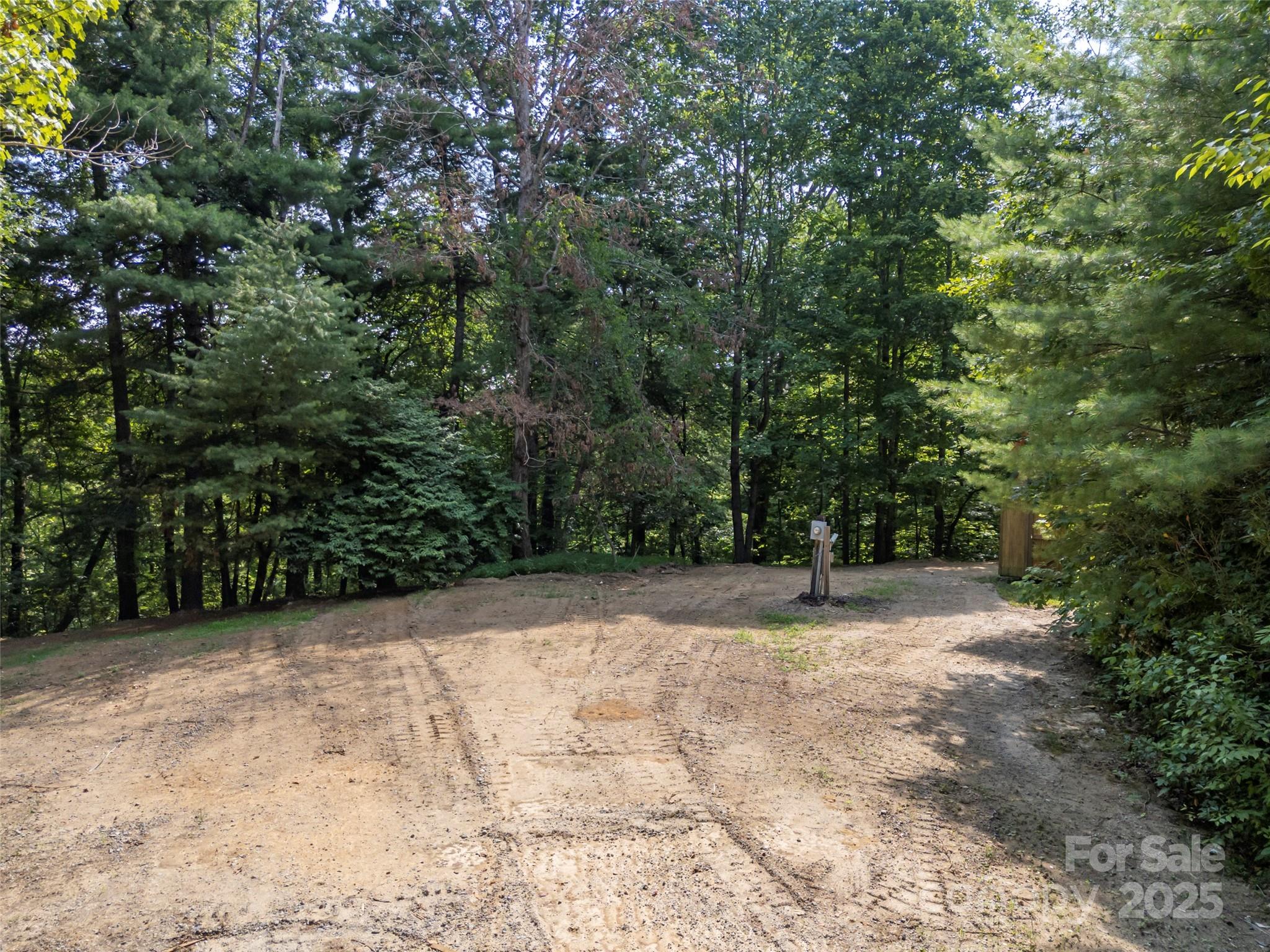 1084 Old Howard Gap Road Saluda, NC 28773 - Photo 38 of 48