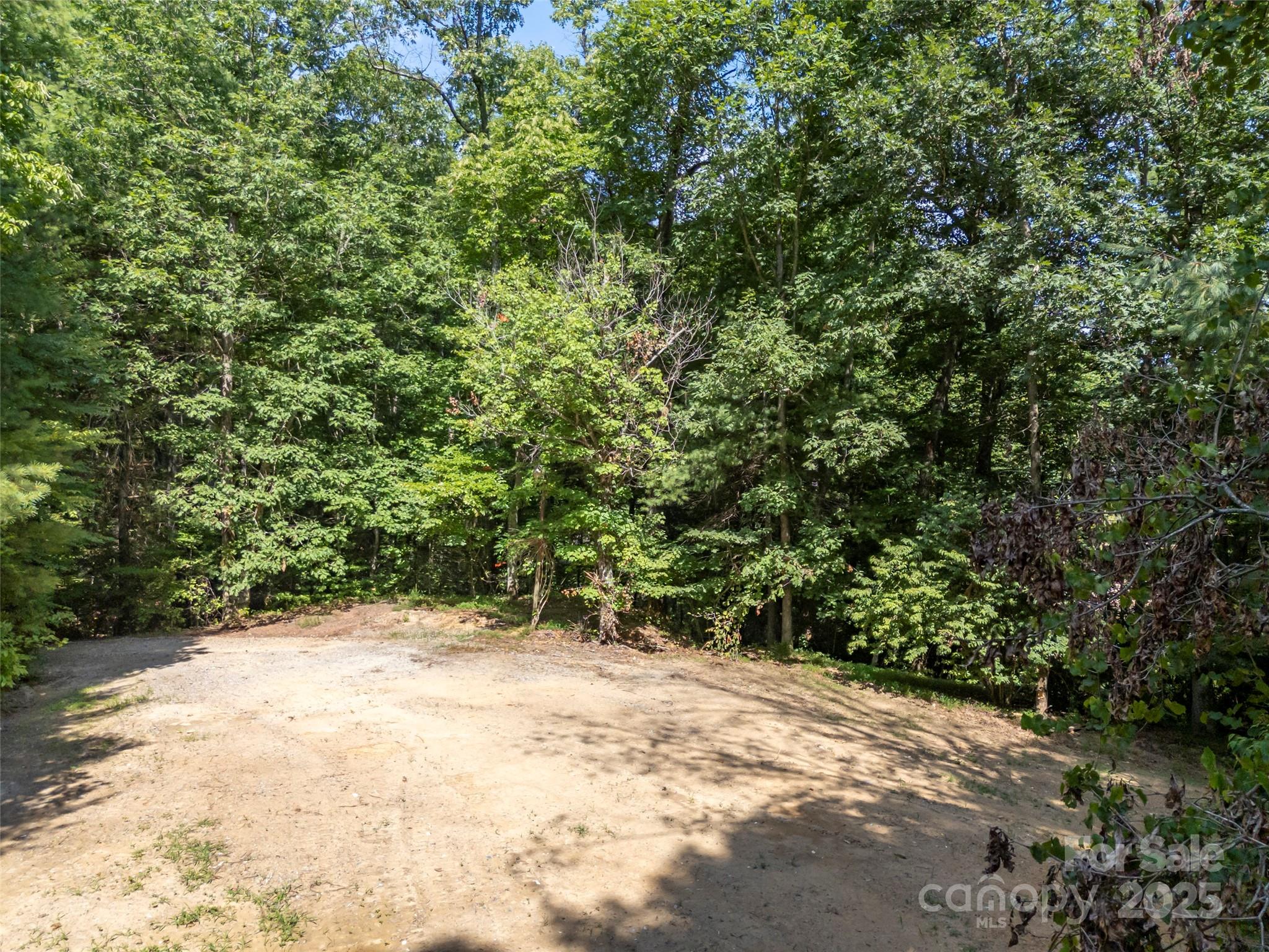 1084 Old Howard Gap Road Saluda, NC 28773 - Photo 39 of 48