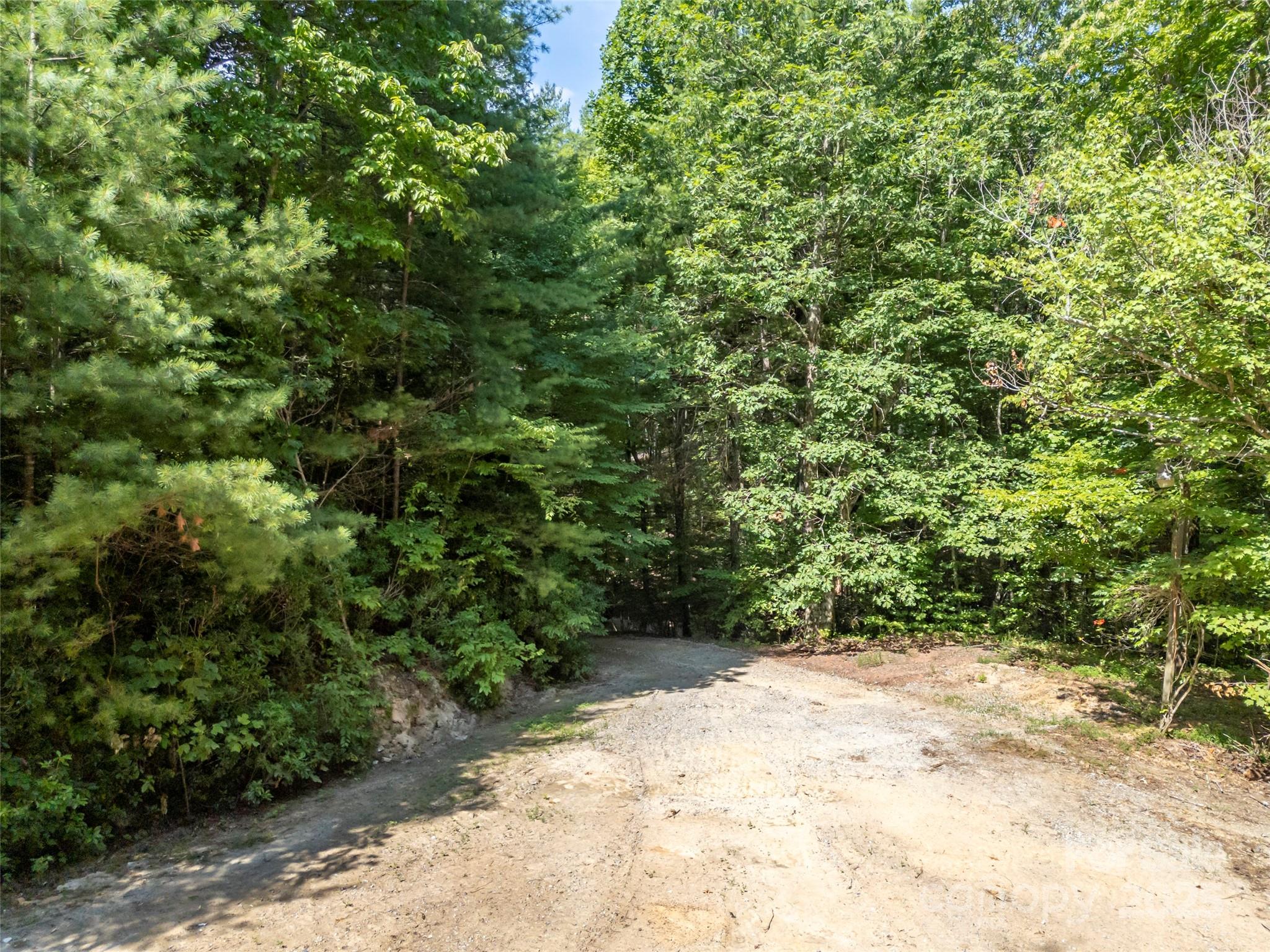 1084 Old Howard Gap Road Saluda, NC 28773 - Photo 40 of 48