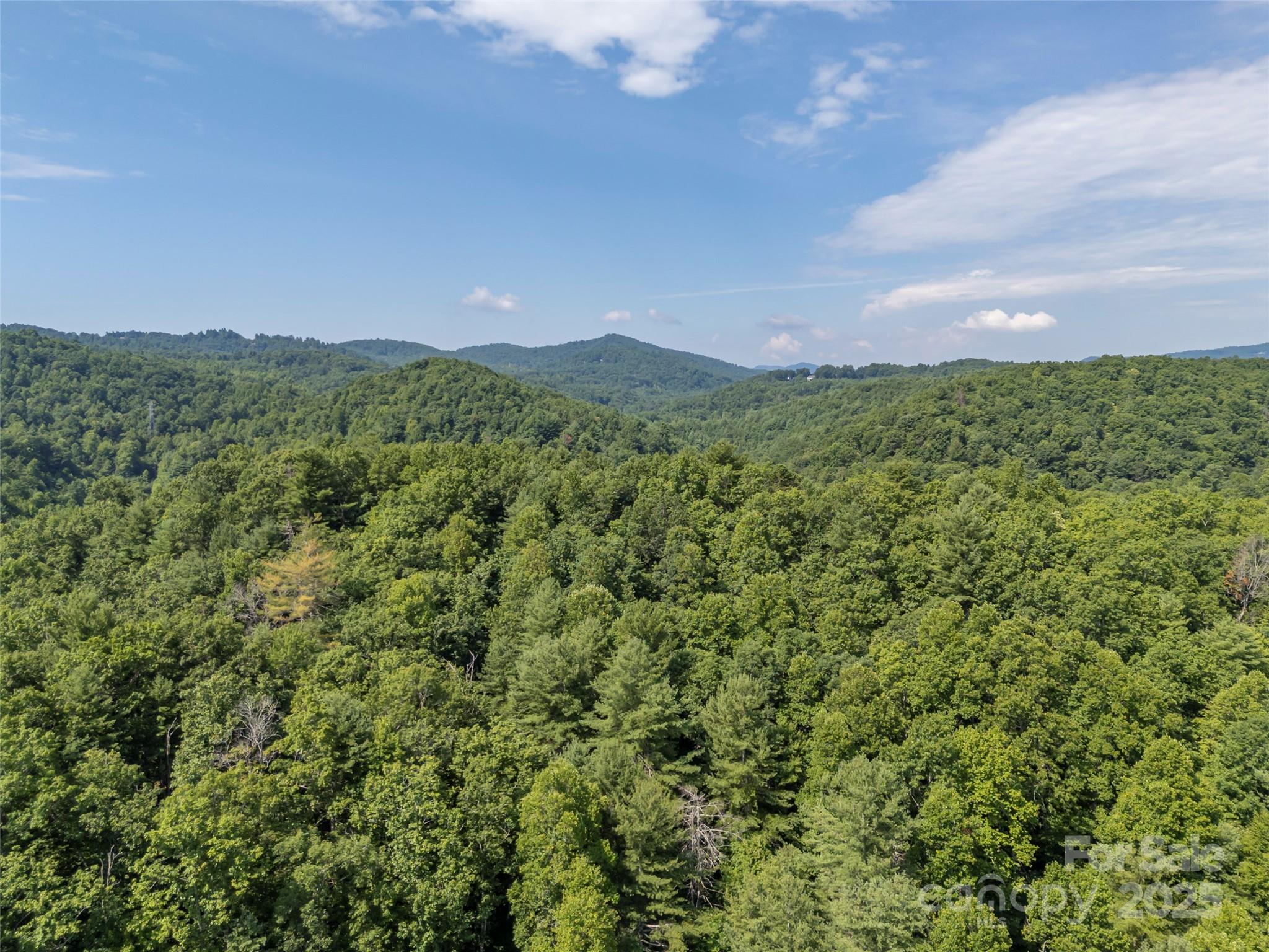 1084 Old Howard Gap Road Saluda, NC 28773 - Photo 42 of 48