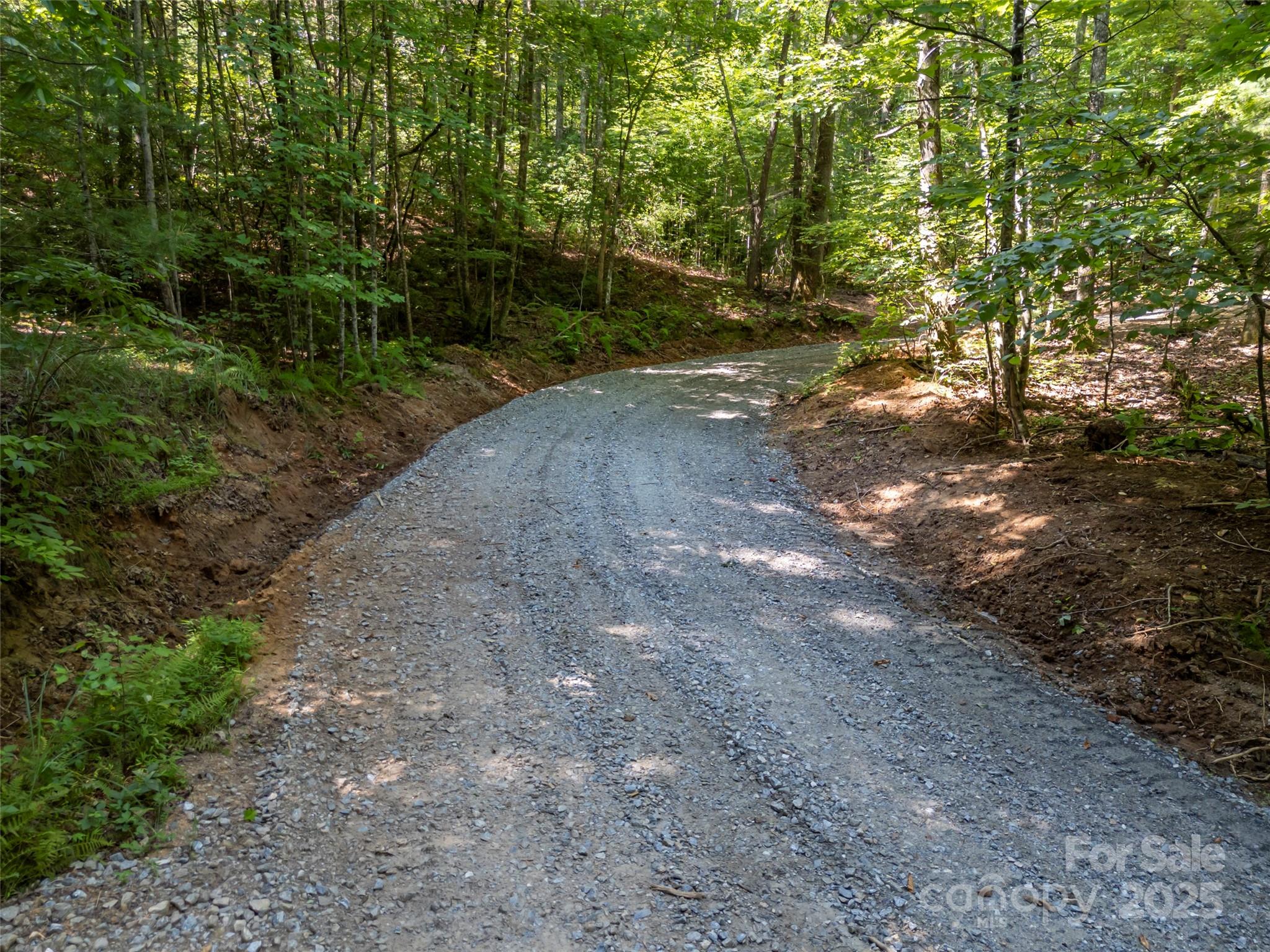 1084 Old Howard Gap Road Saluda, NC 28773 - Photo 43 of 48