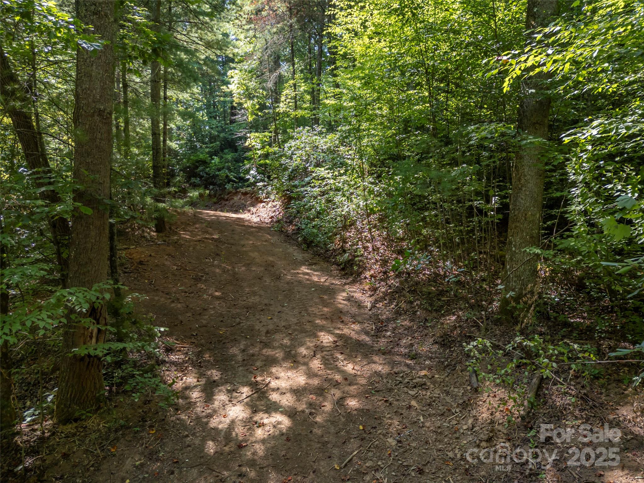 1084 Old Howard Gap Road Saluda, NC 28773 - Photo 44 of 48