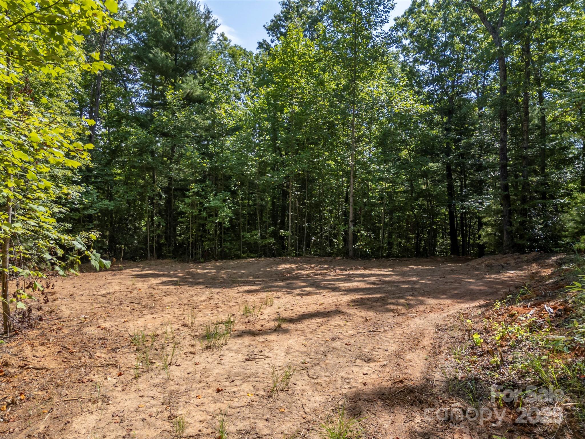 1084 Old Howard Gap Road Saluda, NC 28773 - Photo 46 of 48