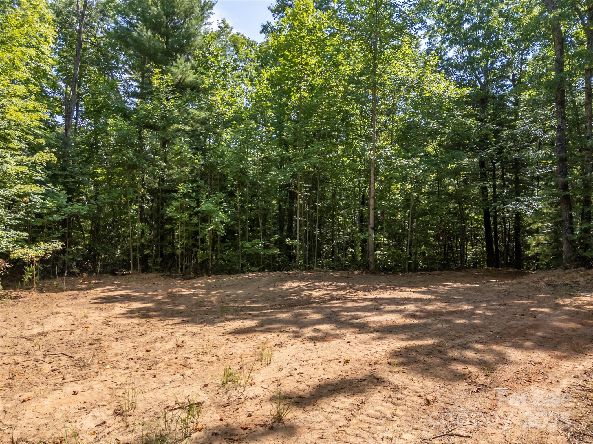 1084 Old Howard Gap Road Saluda, NC 28773 - Photo 47 of 48