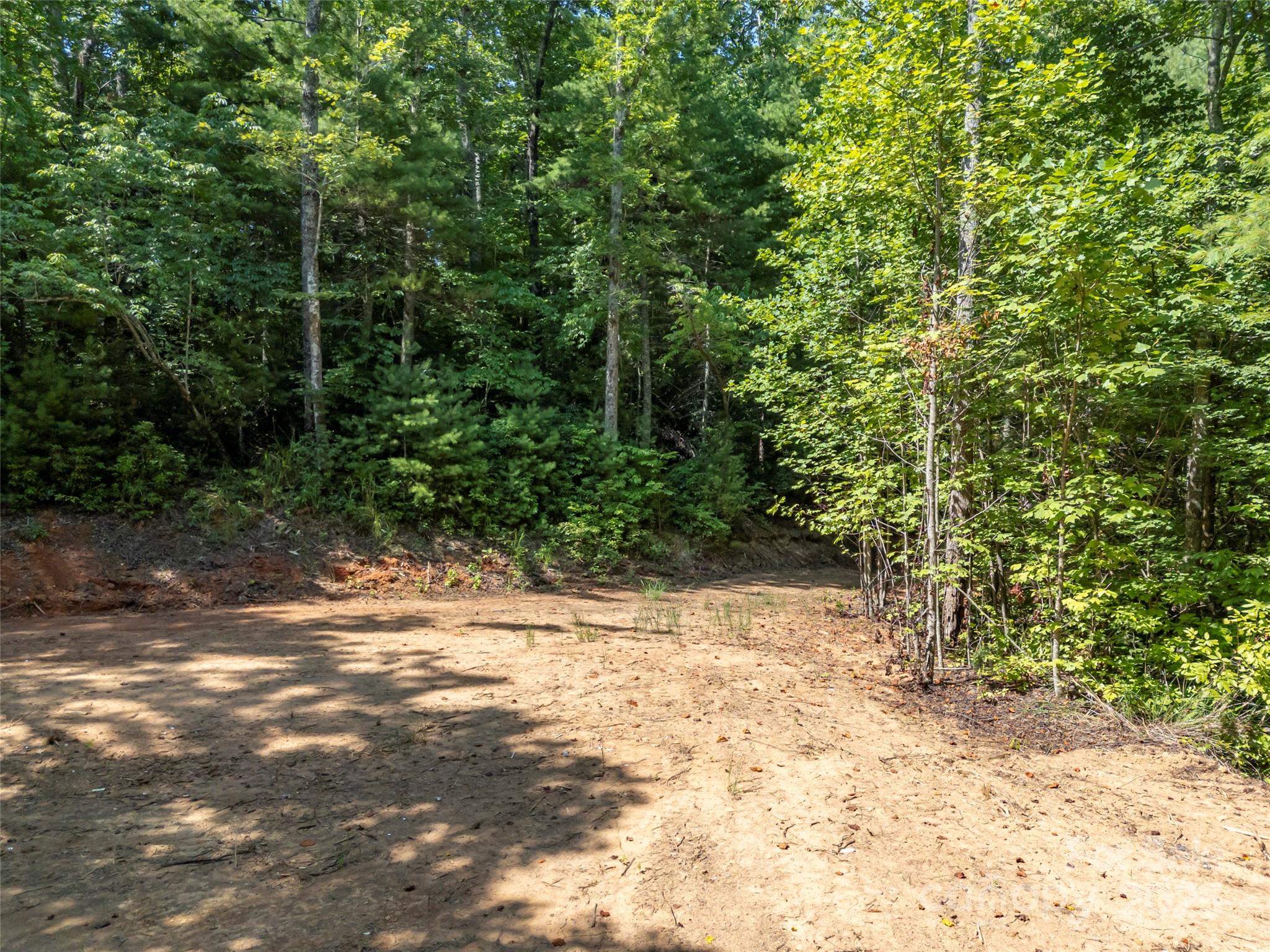 1084 Old Howard Gap Road Saluda, NC 28773 - Photo 48 of 48