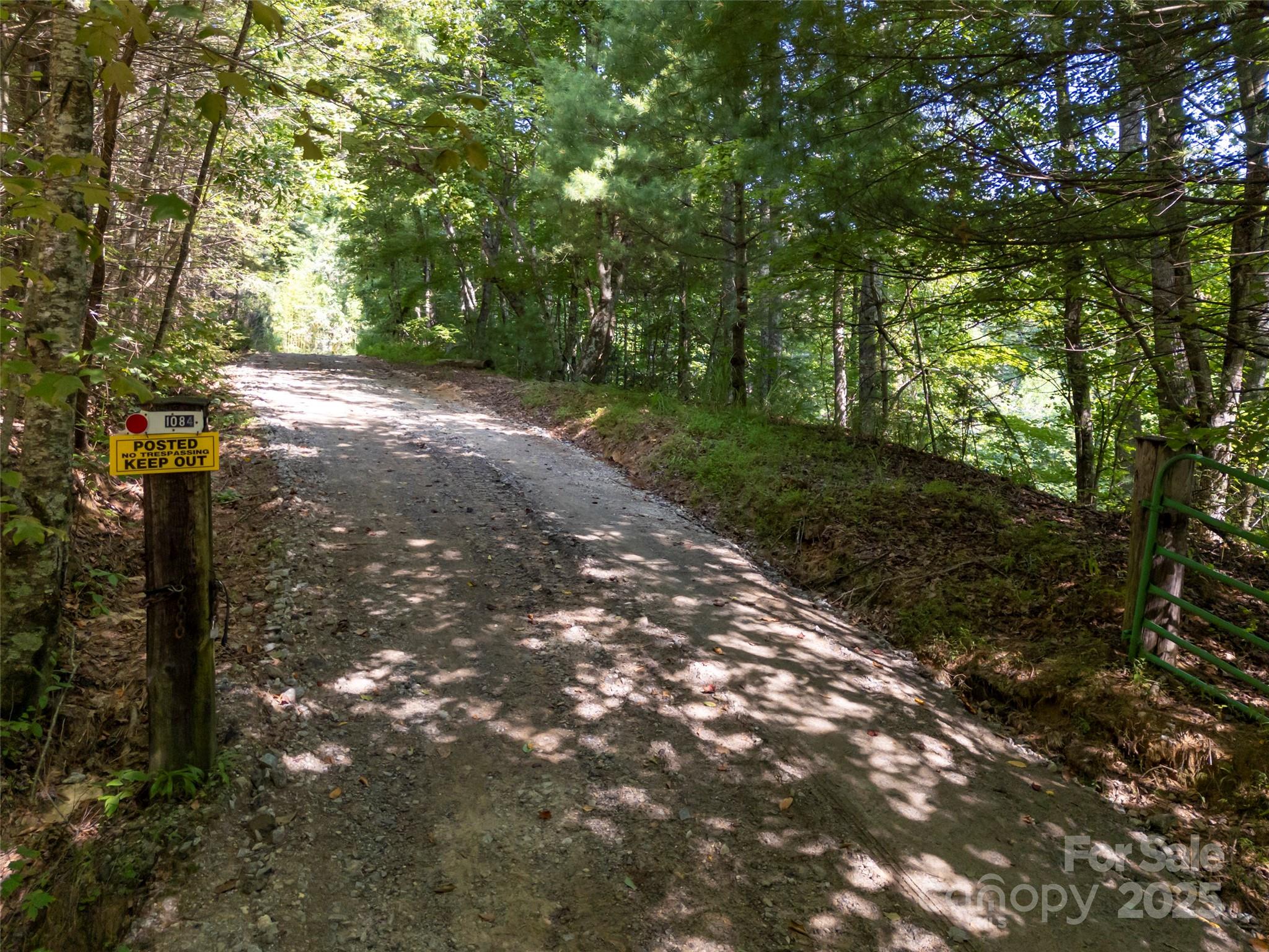 1084 Old Howard Gap Road Saluda, NC 28773 - Photo 5 of 48