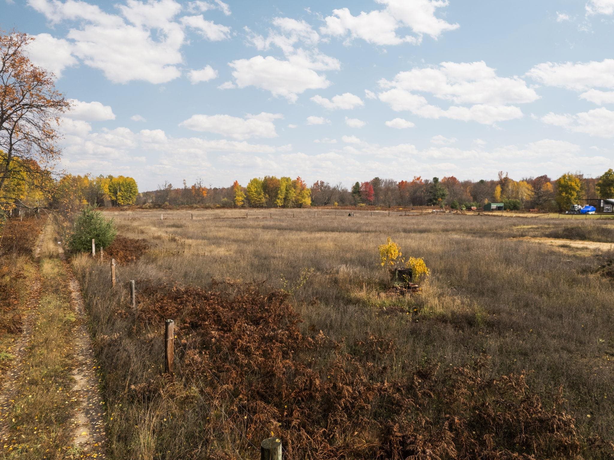 3976 Irvin Road Kingsley, MI 49649 - Photo 51 of 68