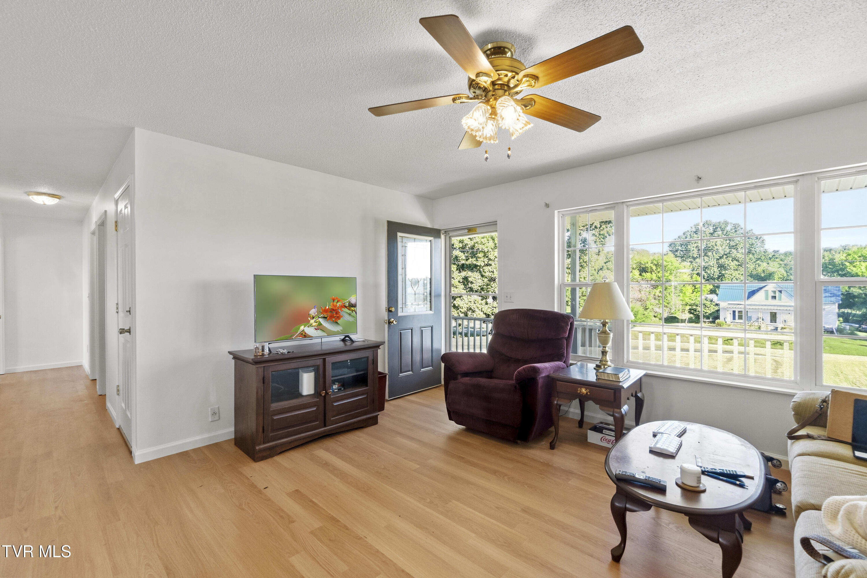 1735 Main Street Mosheim, TN 37818 - Photo 6 of 48 6