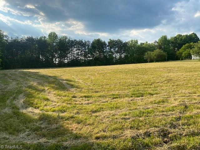 0 Germantown Road Pelham, NC 27311 - Photo 4 of 5 Gallery Image 4