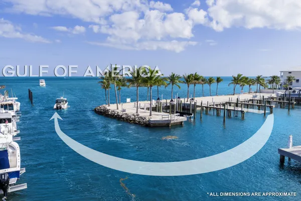 swimming pool view with a garden space