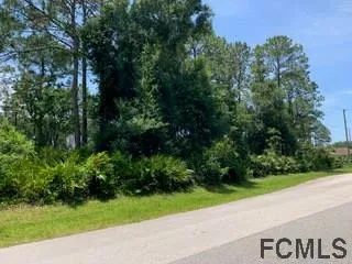 a view of a street with a tree