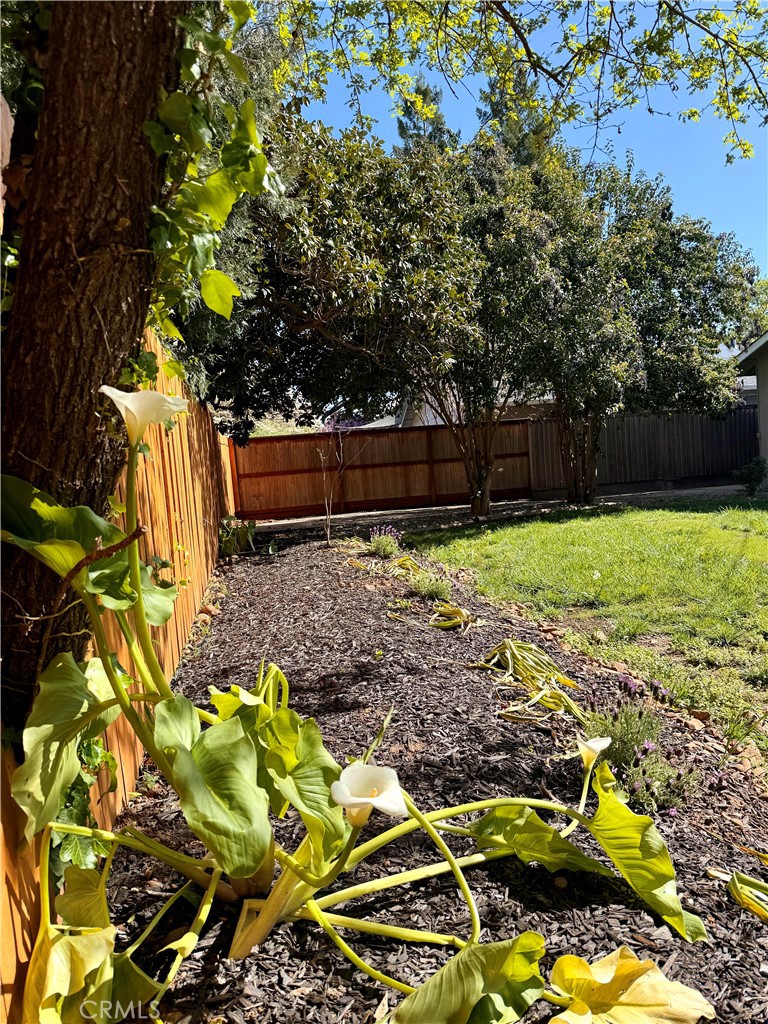 1094 Rey Circle Chico, CA 95926 - Photo 26 of 30 a view of garden with wooden fence