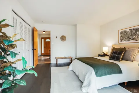 a spacious bedroom with a bed and a potted plant