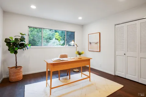 a room with furniture and a potted plant