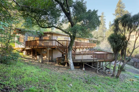 an outdoor space with lots of trees and plants