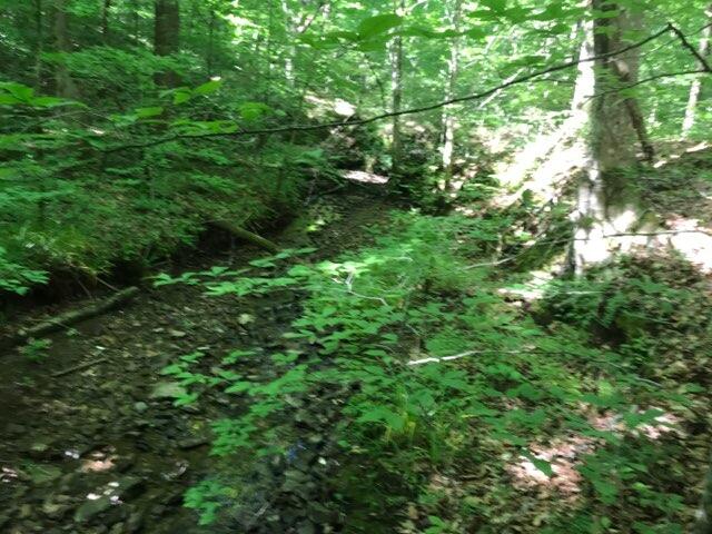 Monroe Road Maynardville, TN 37807 - Photo 1 of 7 IMG_2386
