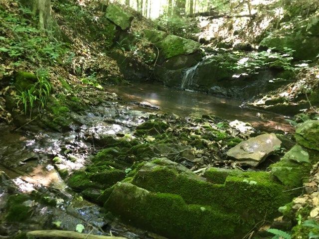 Monroe Road Maynardville, TN 37807 - Photo 2 of 7 IMG_2399