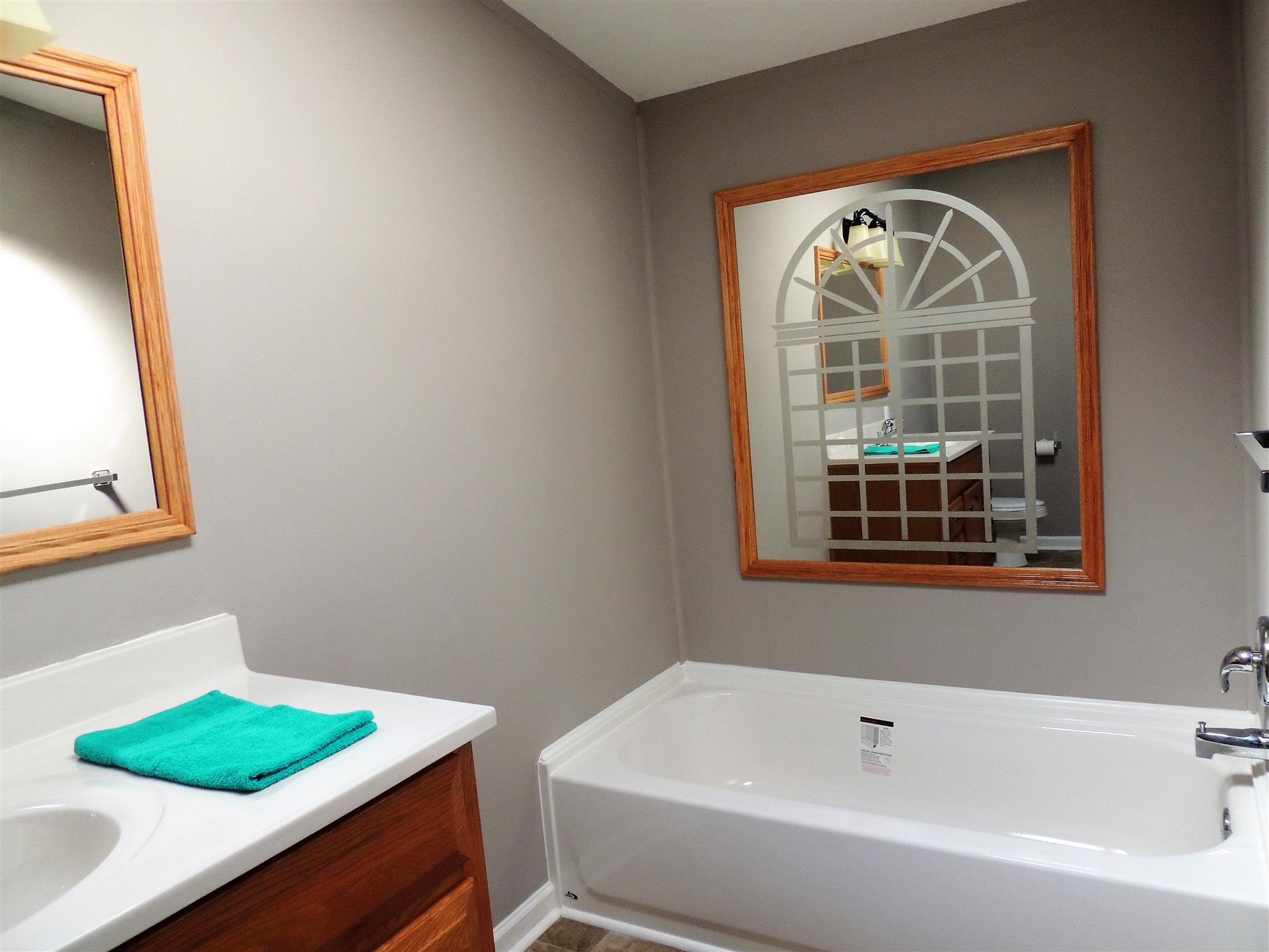 1457 Mt Vernon Road Bethpage, TN 37022 - Photo 12 of 22 Master bath with separate tub