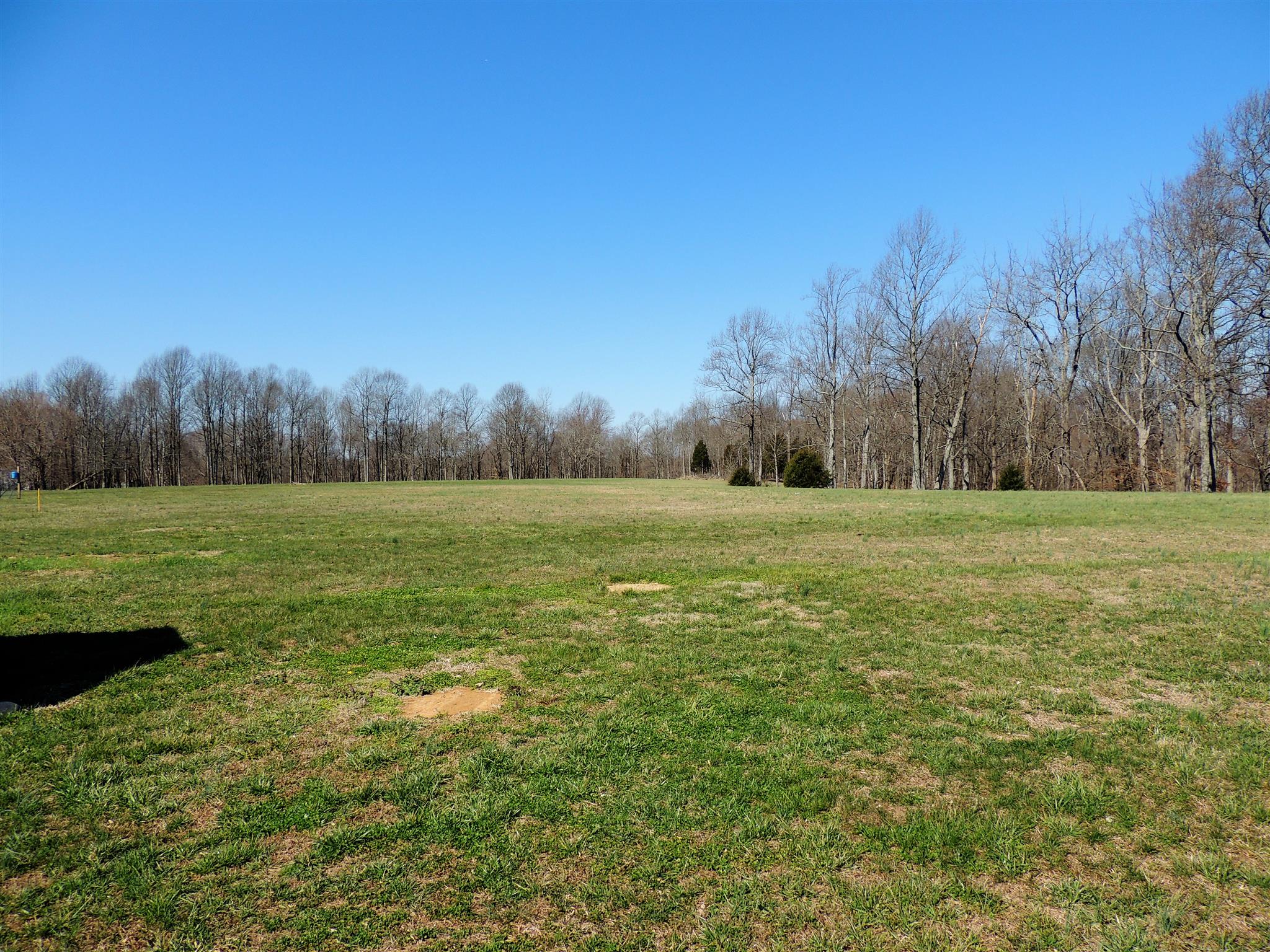 1457 Mt Vernon Road Bethpage, TN 37022 - Photo 21 of 22 beautiful backyard