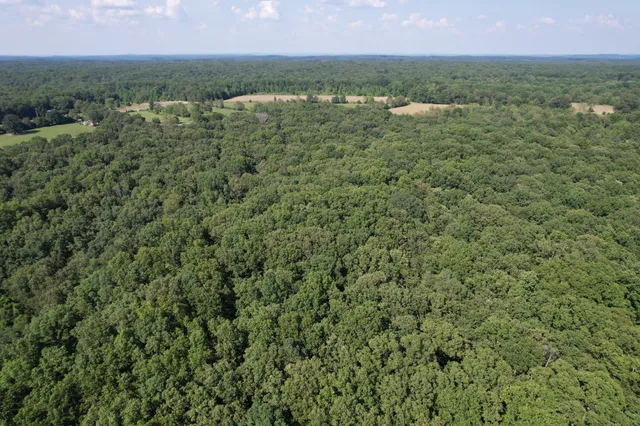 a view of a city with lush green forest