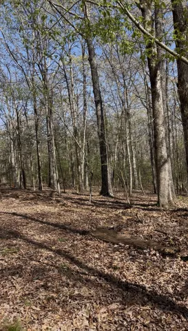 a backyard of a house with trees