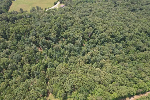 a view of a field of grass and trees