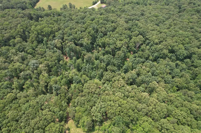 a view of a large yard with lots of green space