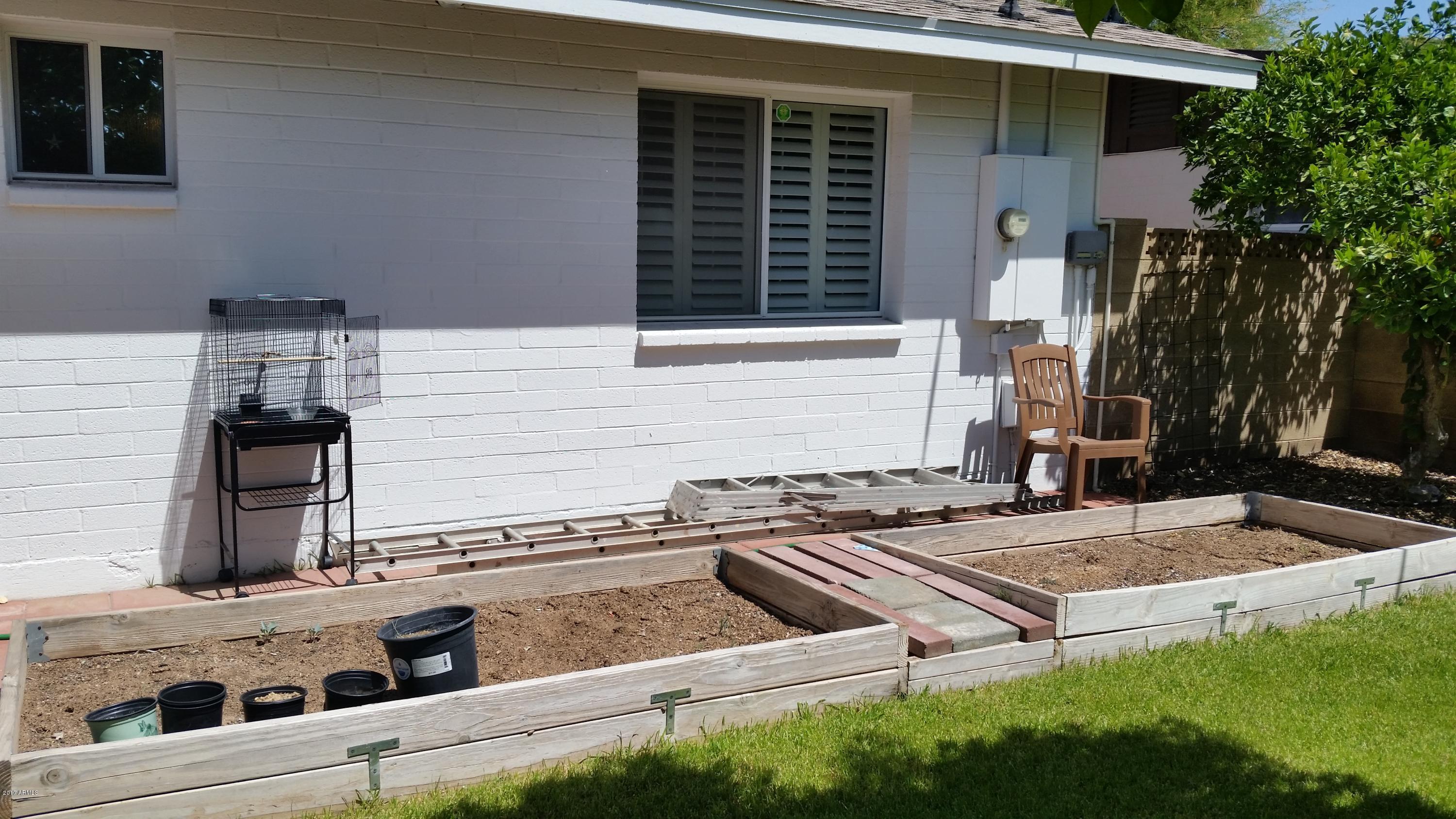 1643 West Royal Palm Road Phoenix, AZ 85021 - Photo 32 of 39 raised garden beds waiting to be planted