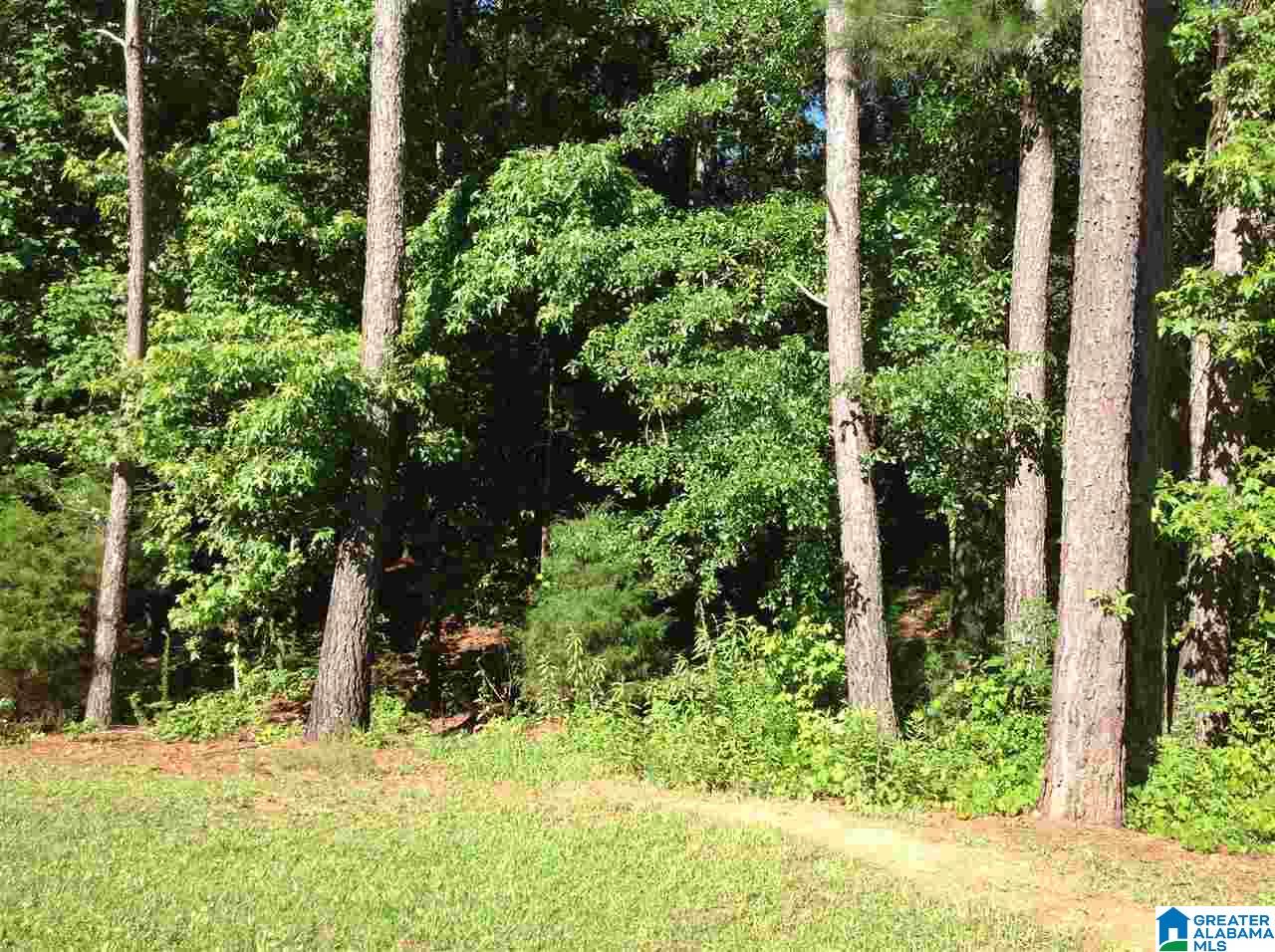 1646 County Road 35 Fruithurst, AL 36262 - Photo 47 of 50