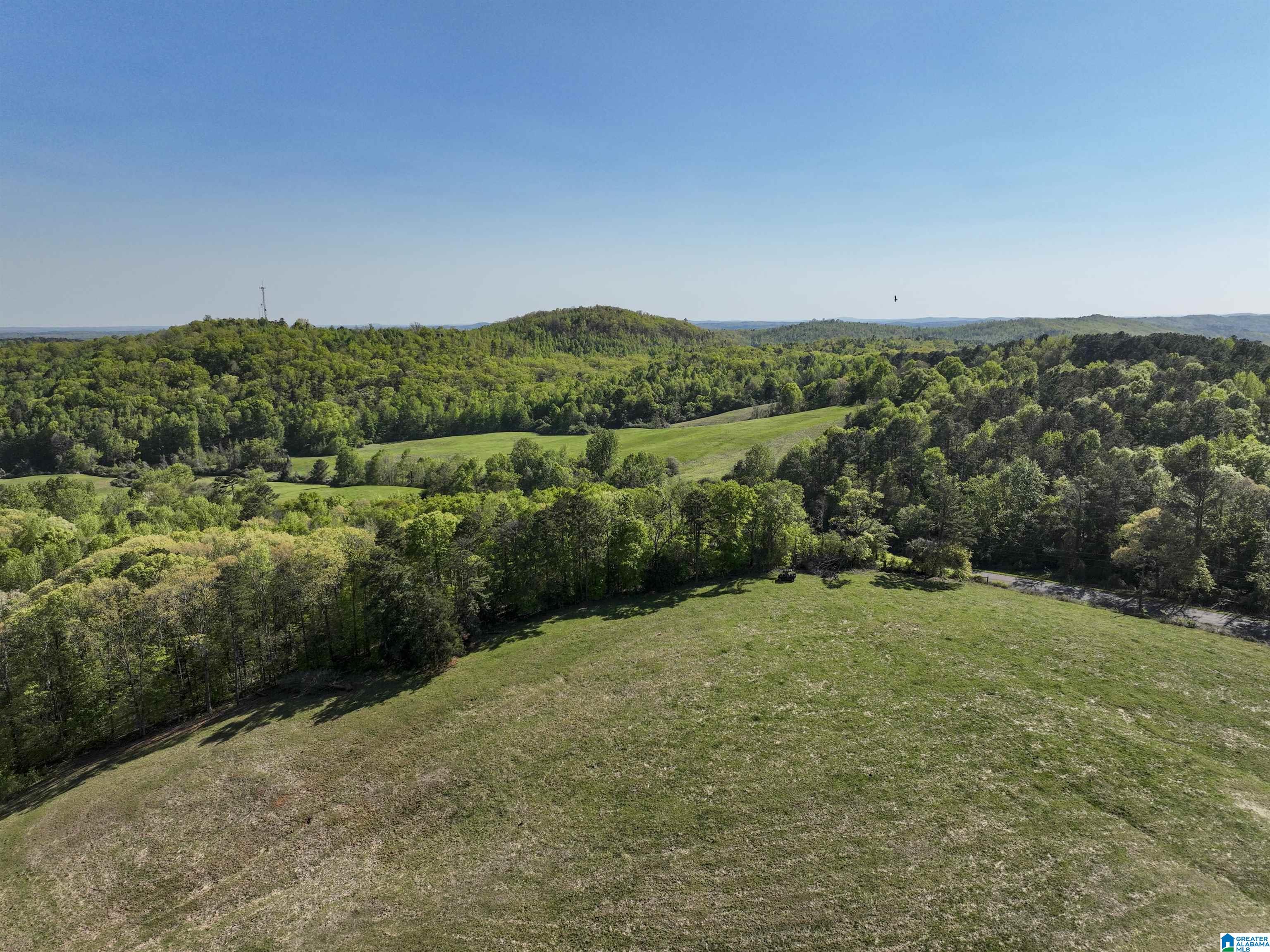 130 Kelly Road Ashland, AL 36251 - Photo 61 of 66